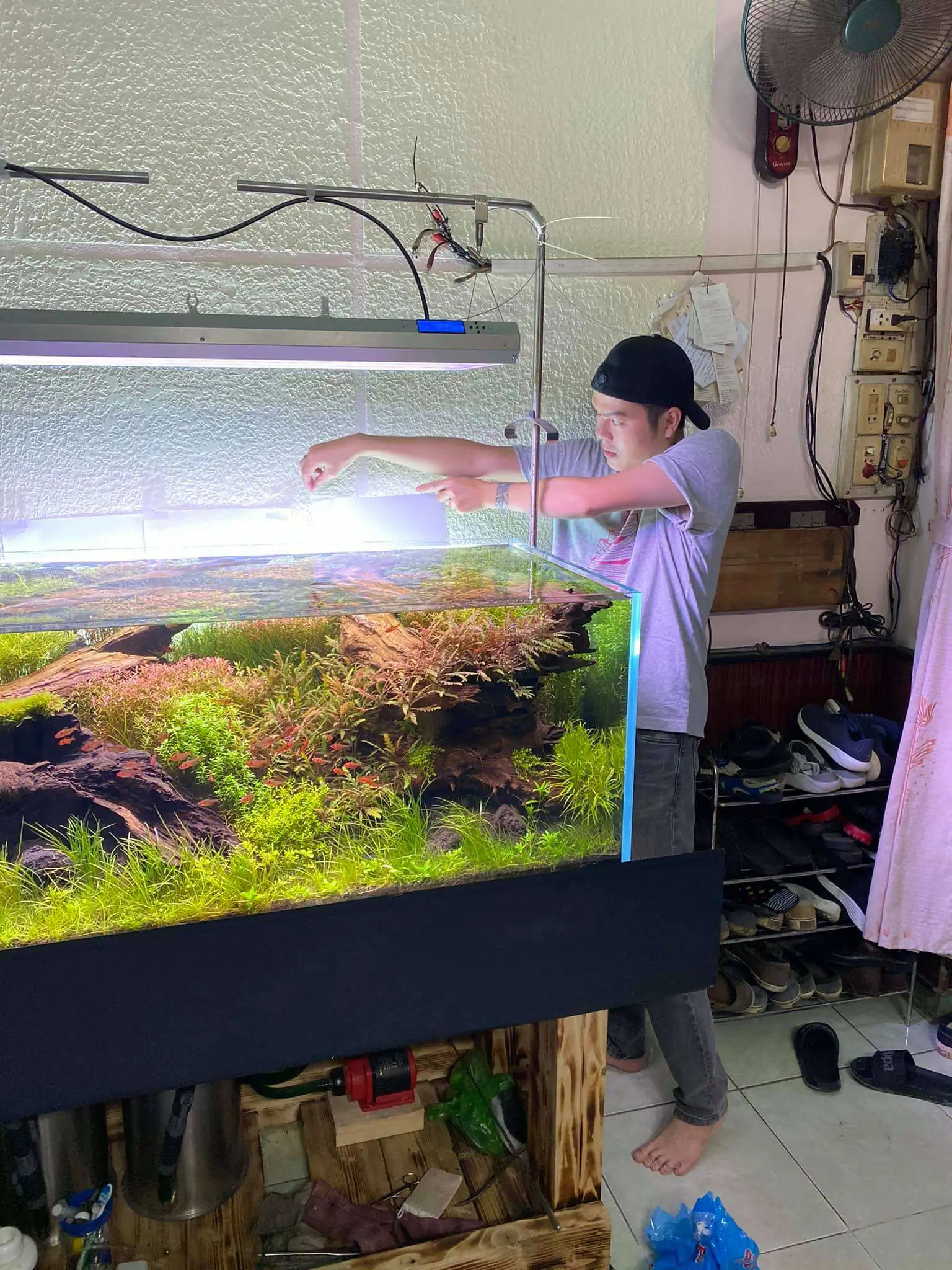 Step by step progression IAPLC 2021 Rank 74 - Go with the flow