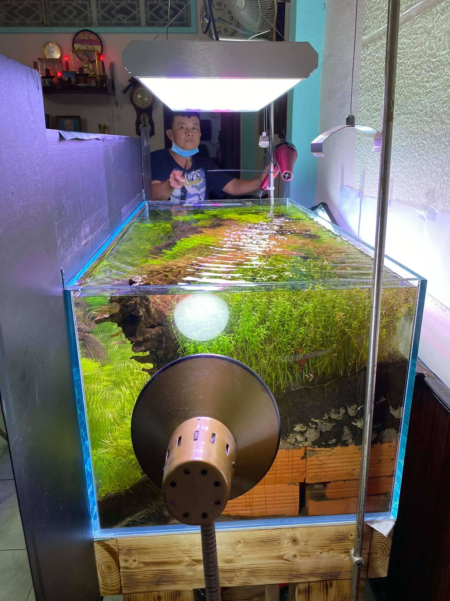 Step by step progression IAPLC 2021 Rank 74 - Go with the flow