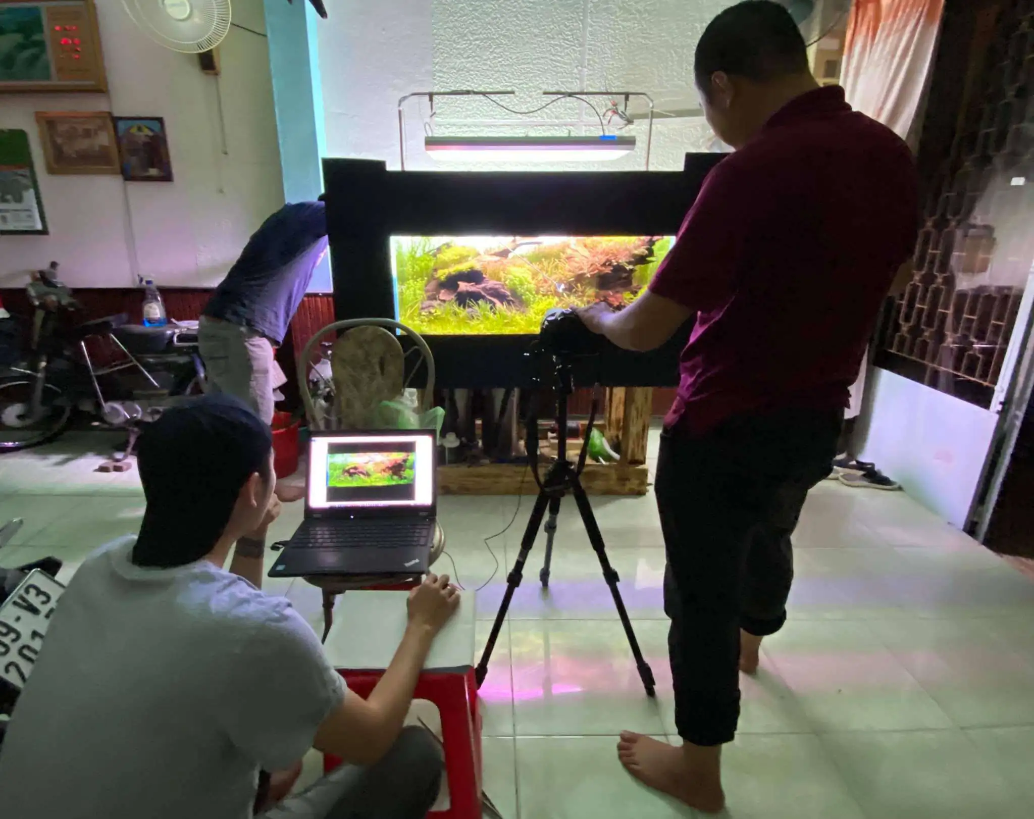 Step by step progression IAPLC 2021 Rank 74 - Go with the flow