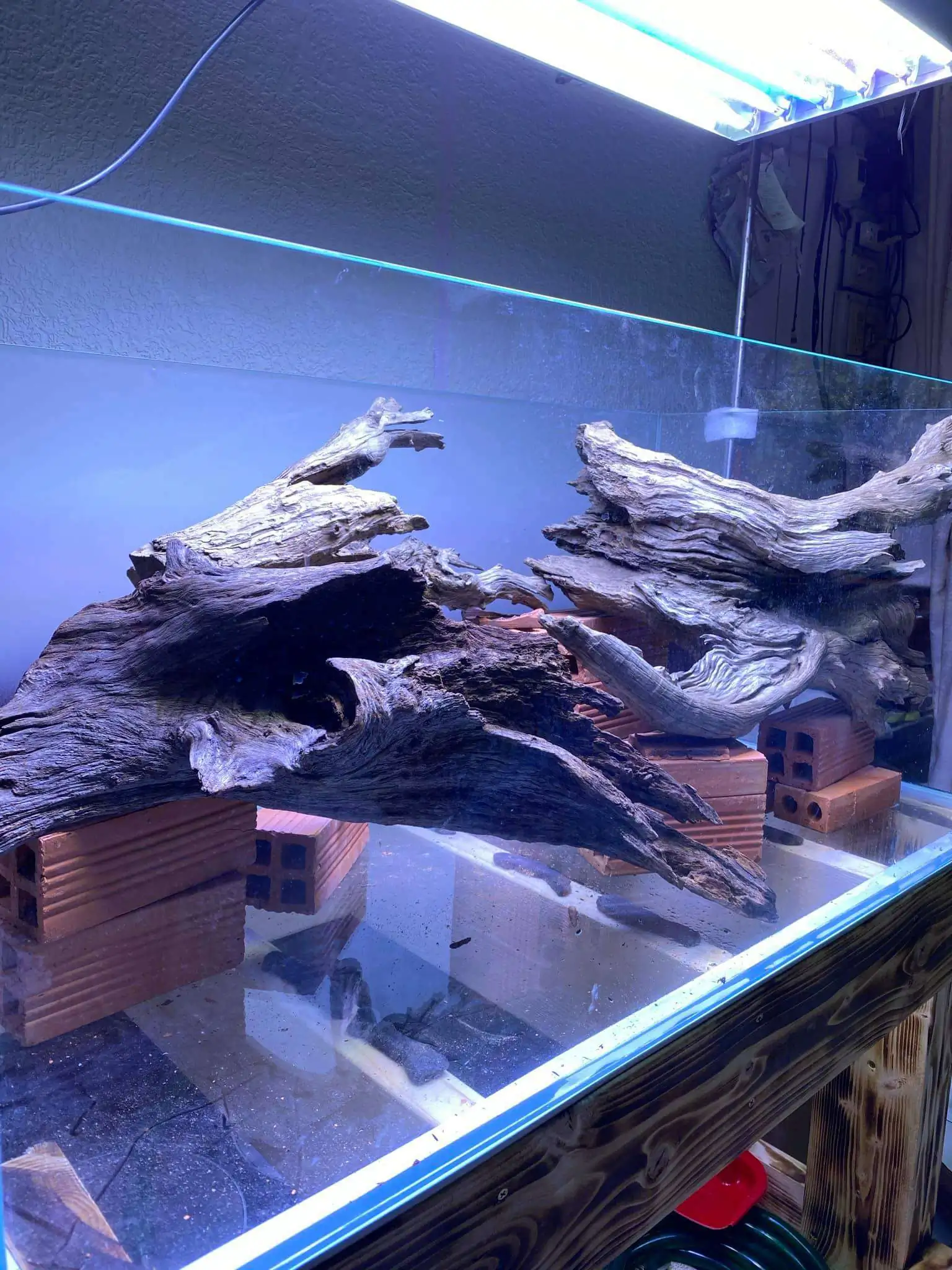 Step by step progression IAPLC 2021 Rank 74 - Go with the flow