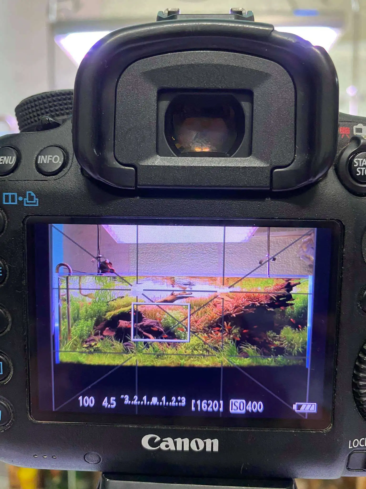 Step by step progression IAPLC 2021 Rank 74 - Go with the flow