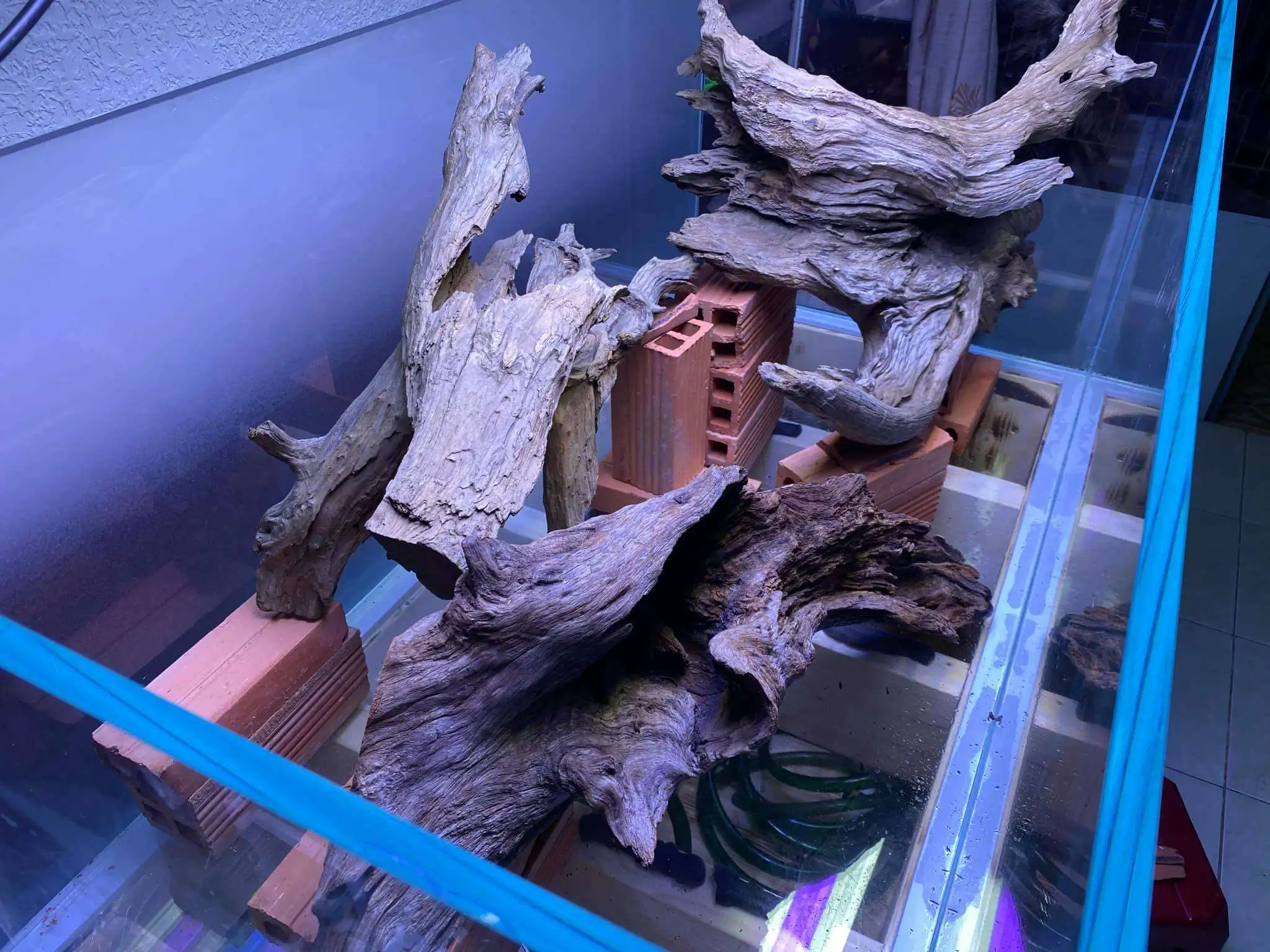 Step by step progression IAPLC 2021 Rank 74 - Go with the flow