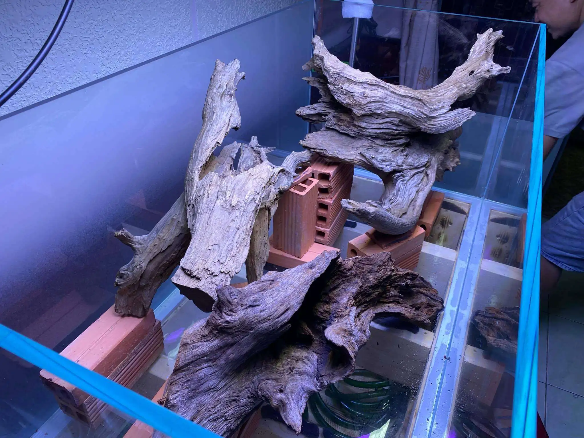 Step by step progression IAPLC 2021 Rank 74 - Go with the flow