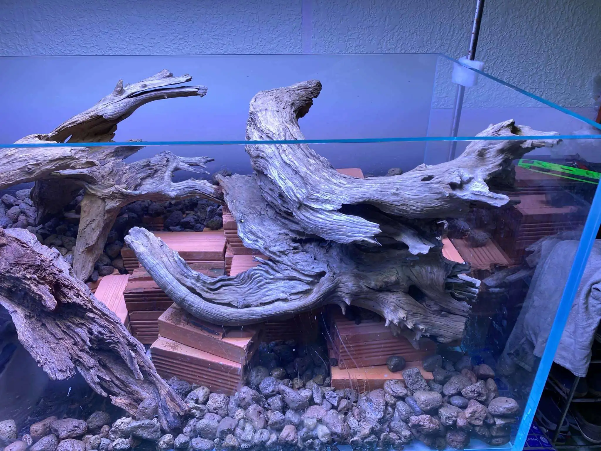 Step by step progression IAPLC 2021 Rank 74 - Go with the flow