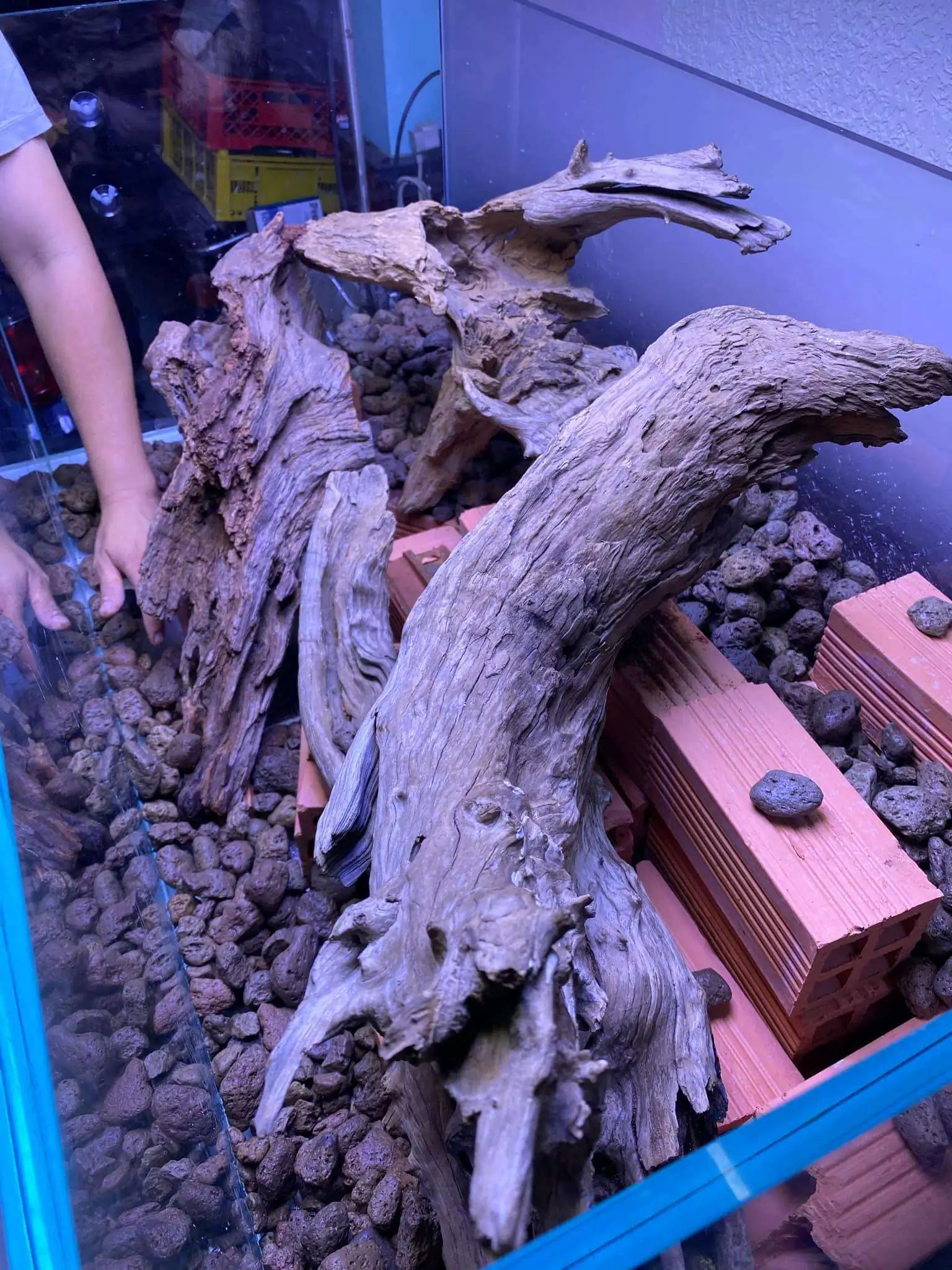 Step by step progression IAPLC 2021 Rank 74 - Go with the flow