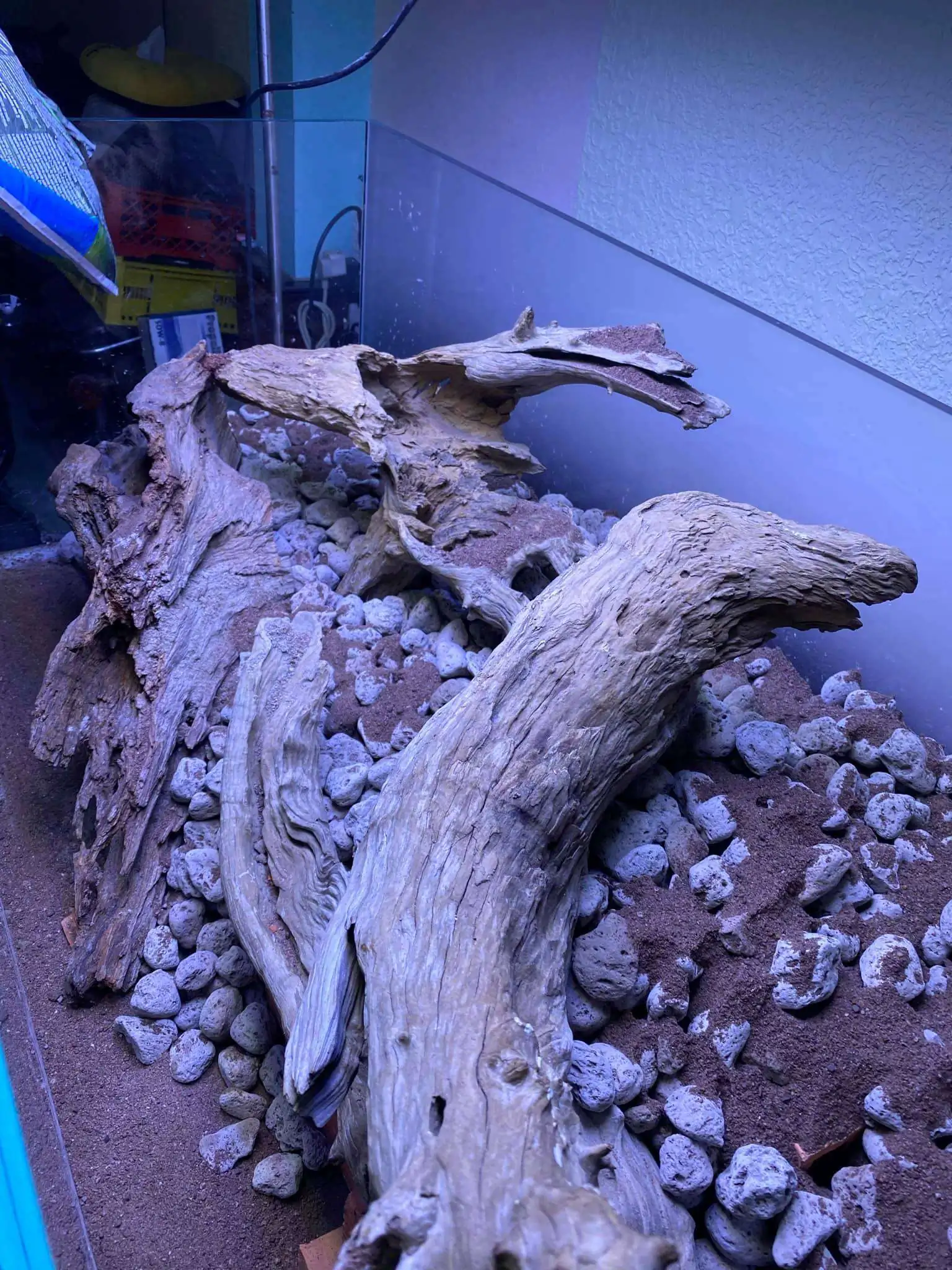 Step by step progression IAPLC 2021 Rank 74 - Go with the flow