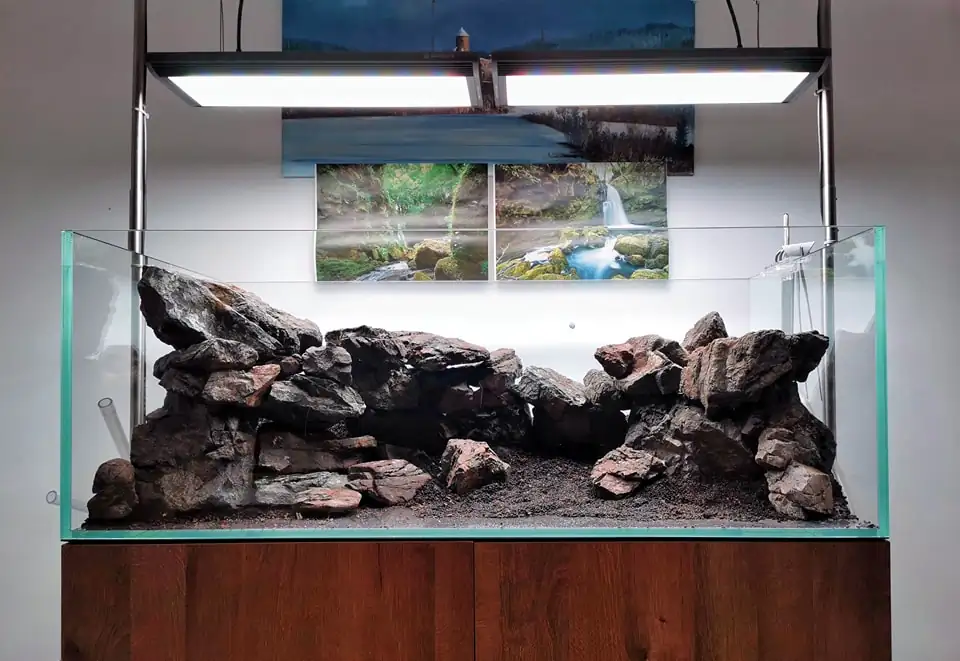 Steps progression IAPLC 2022 Rank 37 In the Embrace of the Gaelic Glen - Pavol Kulanda / Great Britain