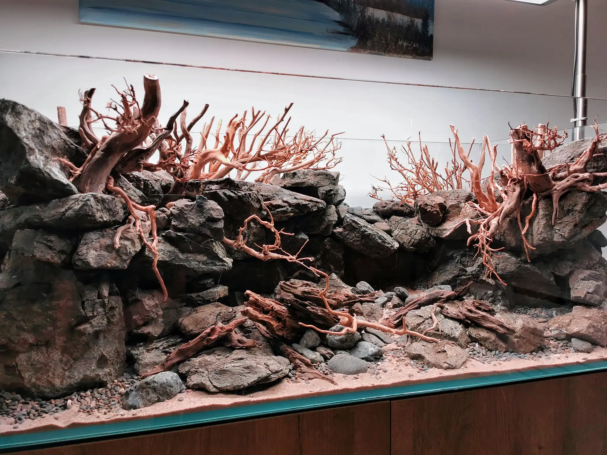 Steps progression IAPLC 2022 Rank 37 In the Embrace of the Gaelic Glen - Pavol Kulanda / Great Britain