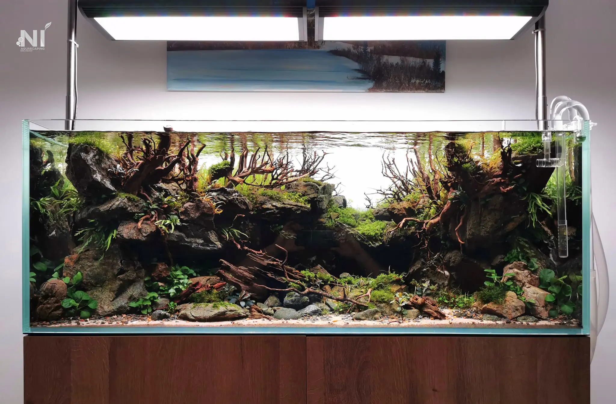 Steps progression IAPLC 2022 Rank 37 In the Embrace of the Gaelic Glen - Pavol Kulanda / Great Britain