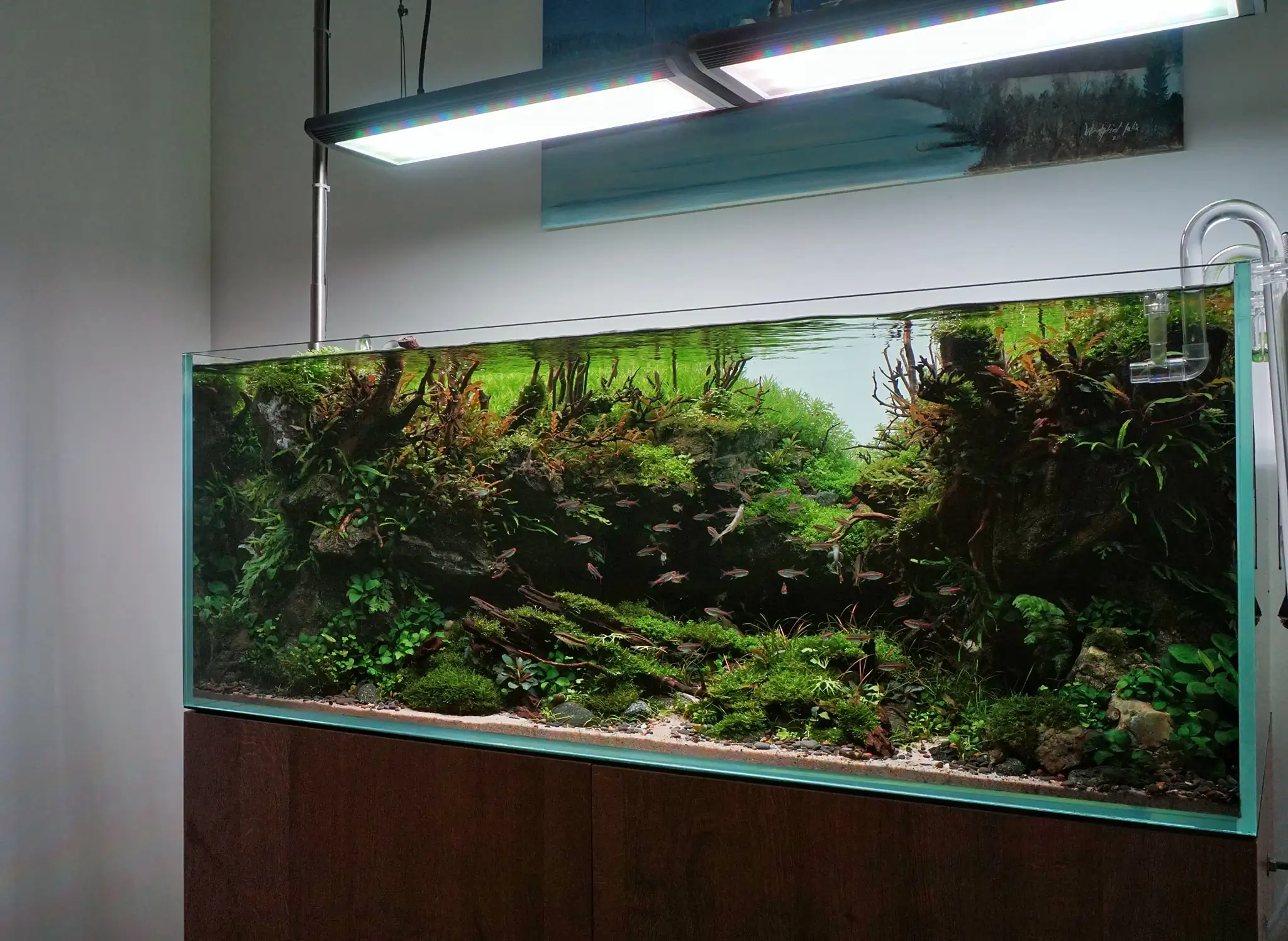 Steps progression IAPLC 2022 Rank 37 In the Embrace of the Gaelic Glen - Pavol Kulanda / Great Britain