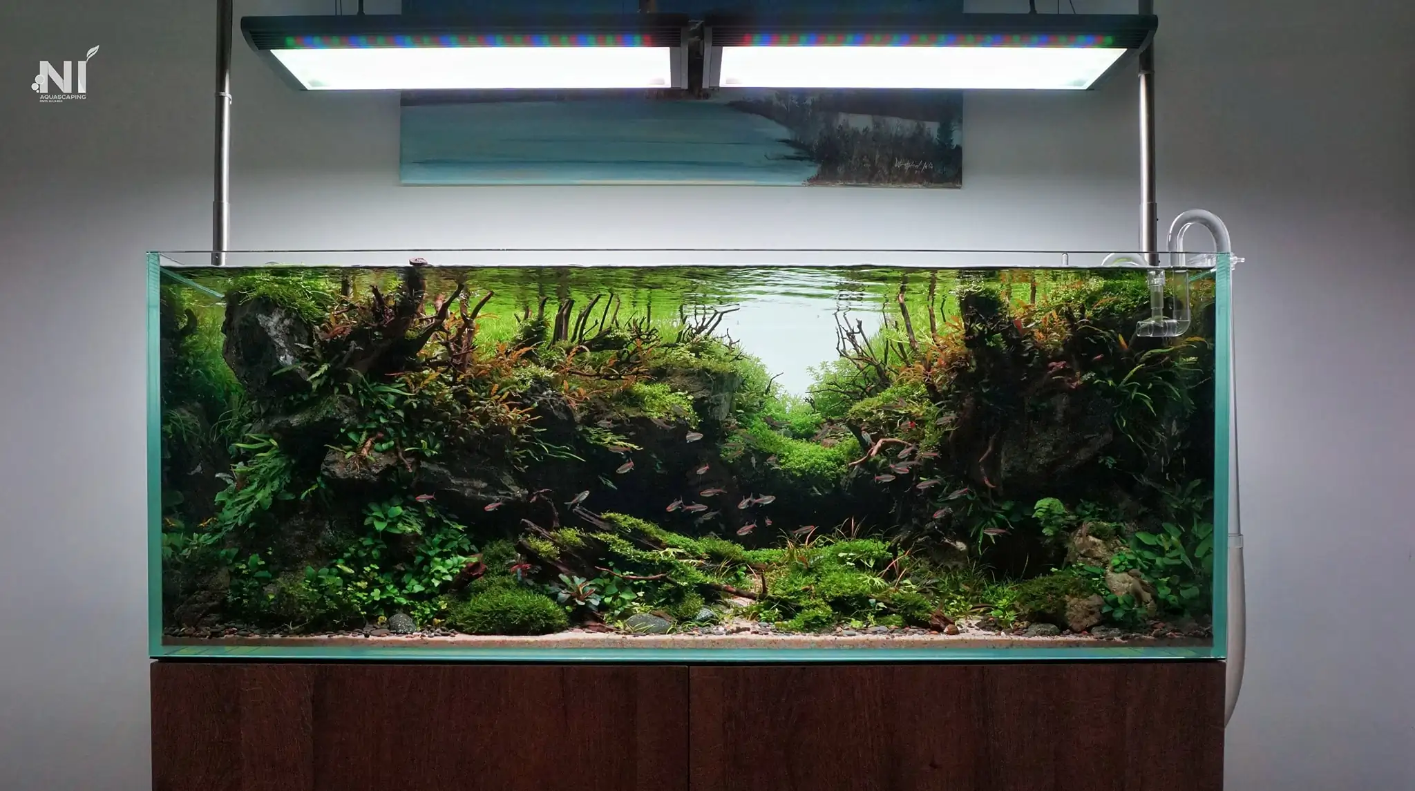 Steps progression IAPLC 2022 Rank 37 In the Embrace of the Gaelic Glen - Pavol Kulanda / Great Britain