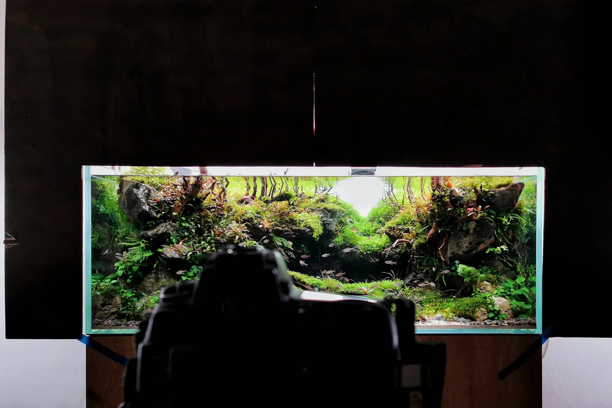 Steps progression IAPLC 2022 Rank 37 In the Embrace of the Gaelic Glen - Pavol Kulanda / Great Britain