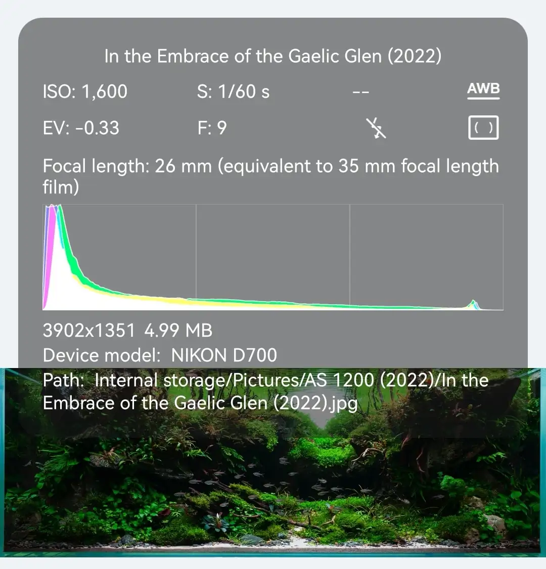 Steps progression IAPLC 2022 Rank 37 In the Embrace of the Gaelic Glen - Pavol Kulanda / Great Britain