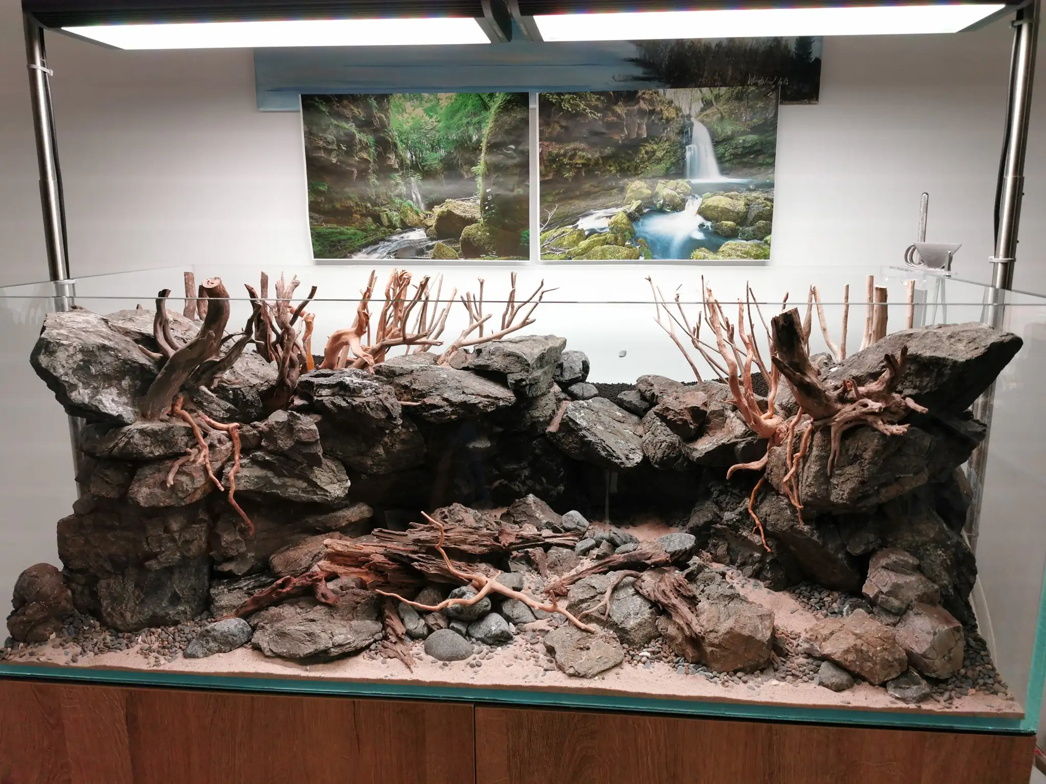 Steps progression IAPLC 2022 Rank 37 In the Embrace of the Gaelic Glen - Pavol Kulanda / Great Britain