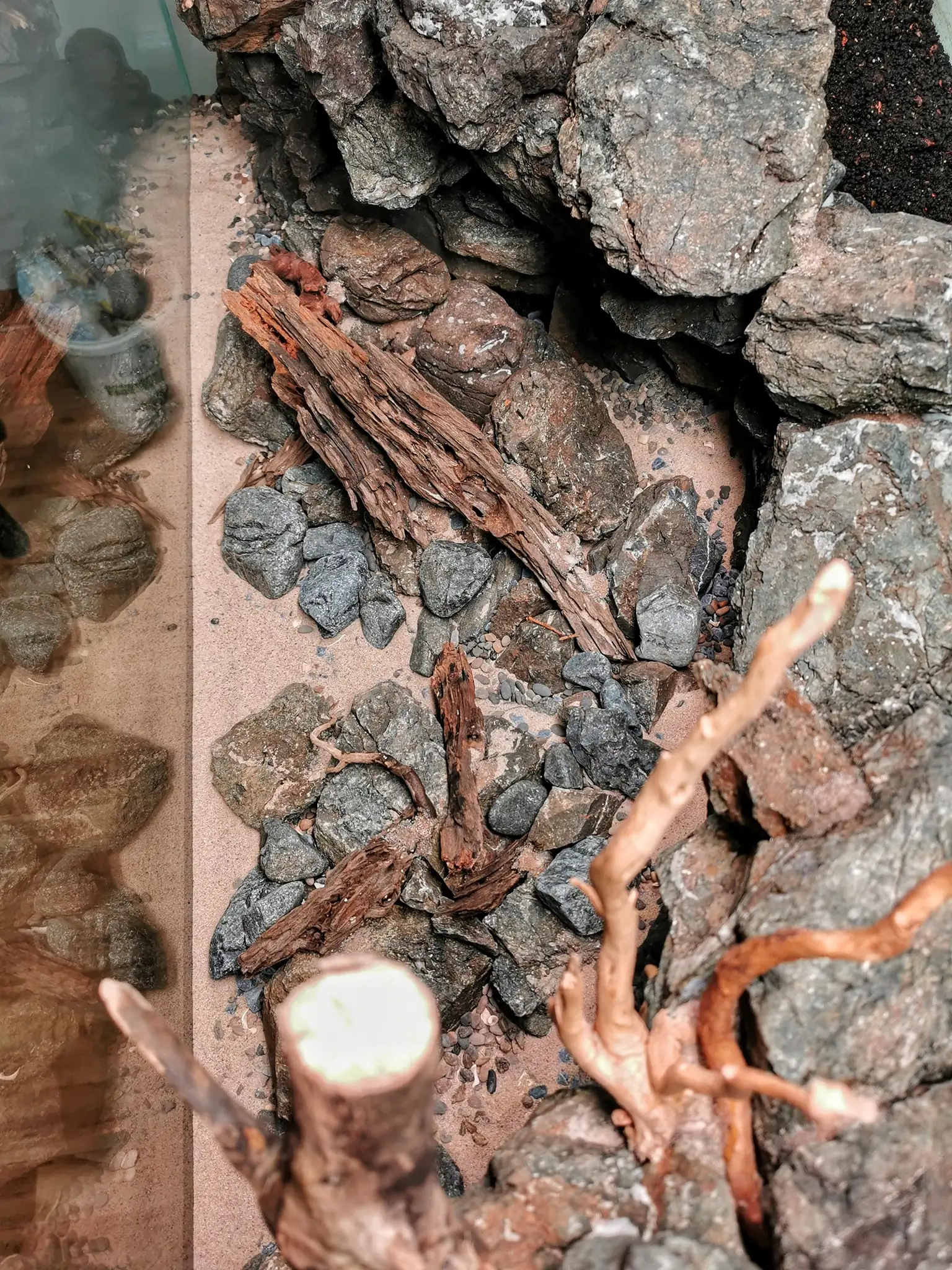 Steps progression IAPLC 2022 Rank 37 In the Embrace of the Gaelic Glen - Pavol Kulanda / Great Britain