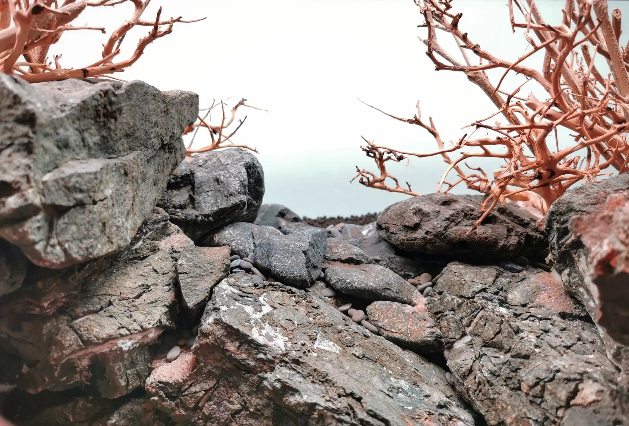 Steps progression IAPLC 2022 Rank 37 In the Embrace of the Gaelic Glen - Pavol Kulanda / Great Britain