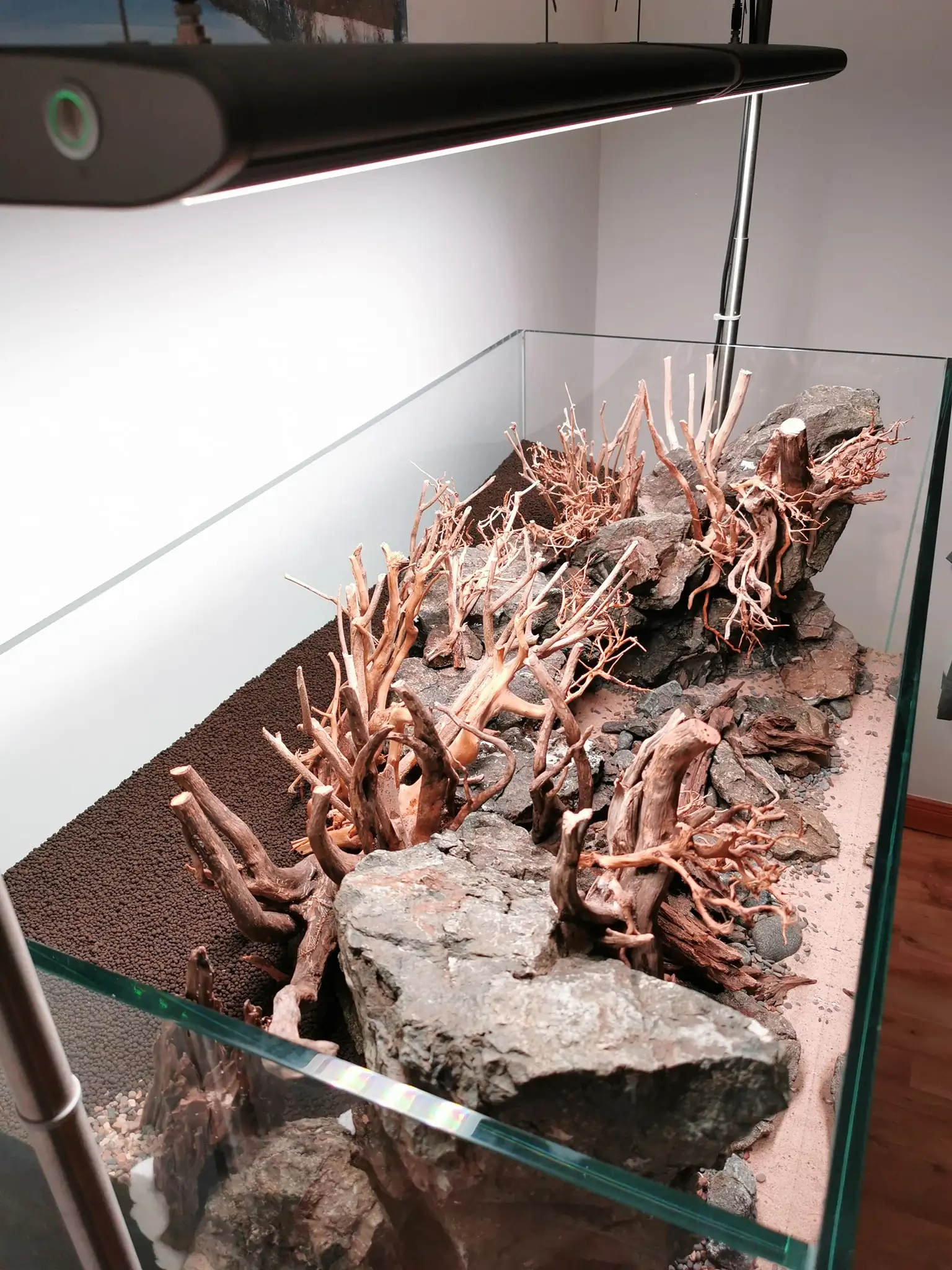 Steps progression IAPLC 2022 Rank 37 In the Embrace of the Gaelic Glen - Pavol Kulanda / Great Britain