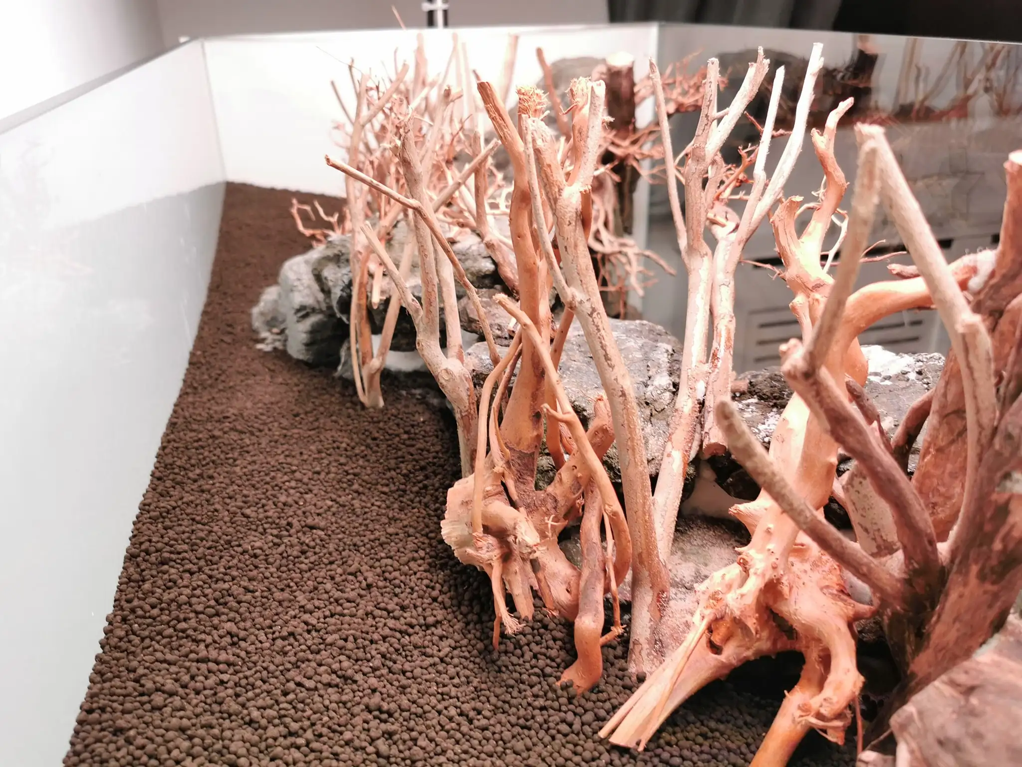 Steps progression IAPLC 2022 Rank 37 In the Embrace of the Gaelic Glen - Pavol Kulanda / Great Britain