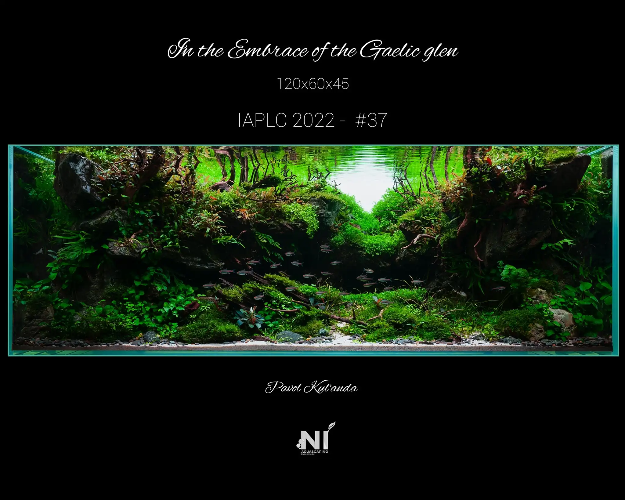 Steps progression IAPLC 2022 Rank 37 In the Embrace of the Gaelic Glen - Pavol Kulanda / Great Britain