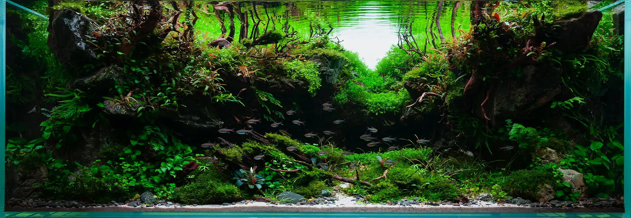 Steps progression IAPLC 2022 Rank 37 In the Embrace of the Gaelic Glen - Pavol Kulanda / Great Britain