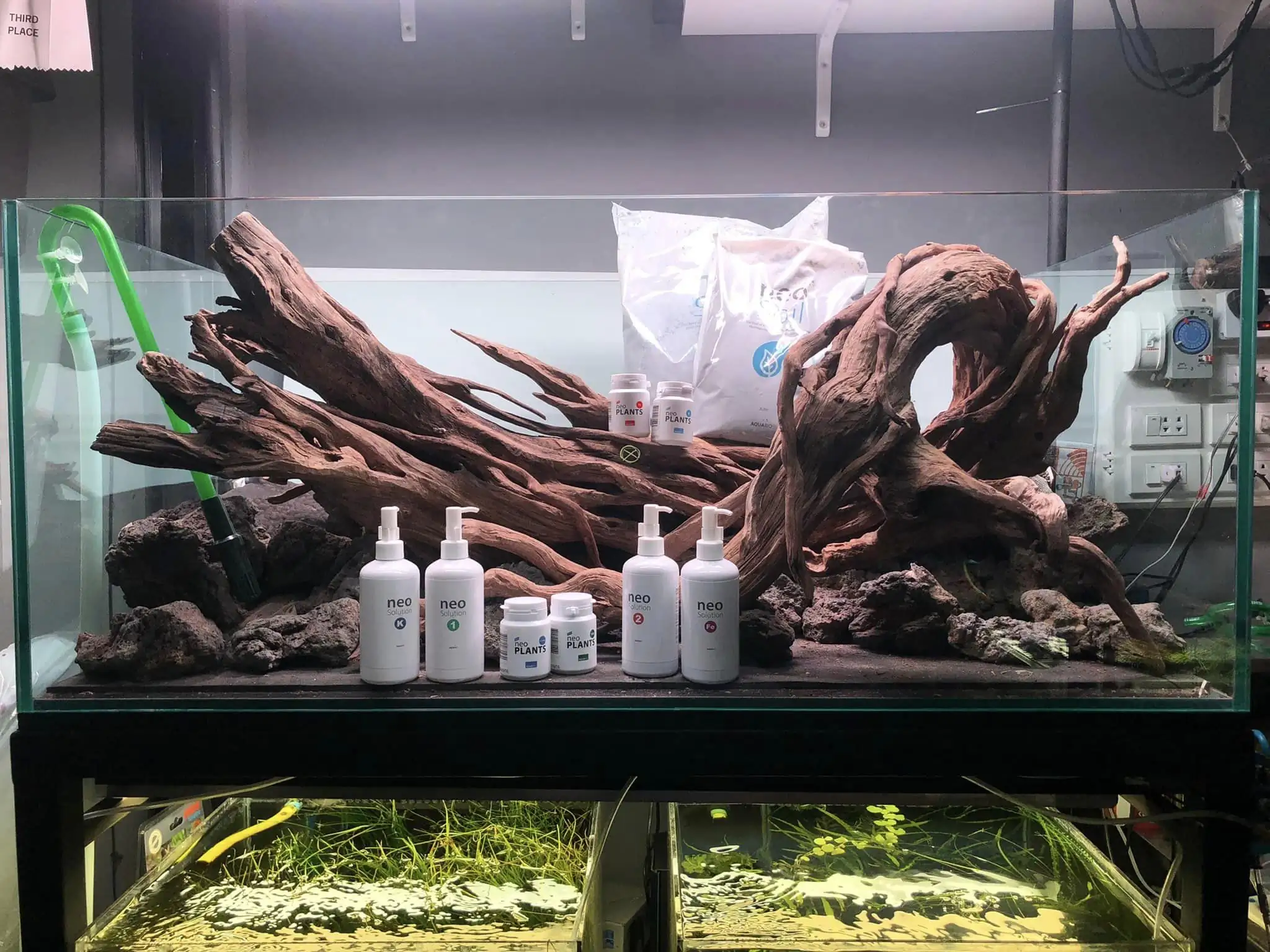 Steps progression IAPLC 2022 Rank 45 - Reverse - Eakthanat Isarathikul / Thailand