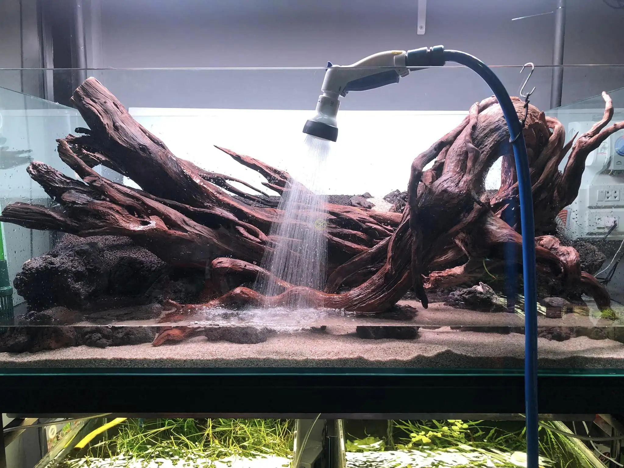 Steps progression IAPLC 2022 Rank 45 - Reverse - Eakthanat Isarathikul / Thailand