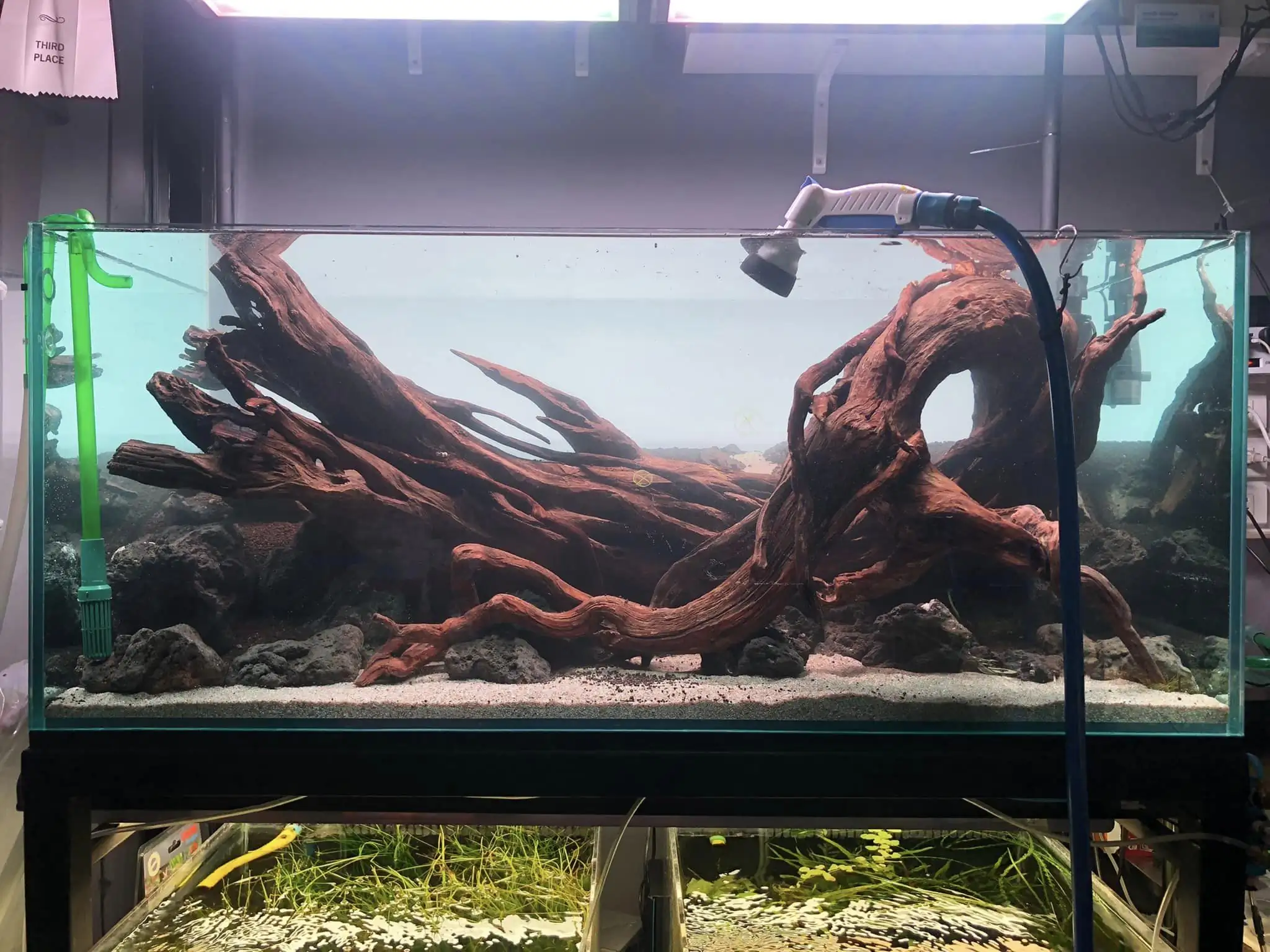 Steps progression IAPLC 2022 Rank 45 - Reverse - Eakthanat Isarathikul / Thailand