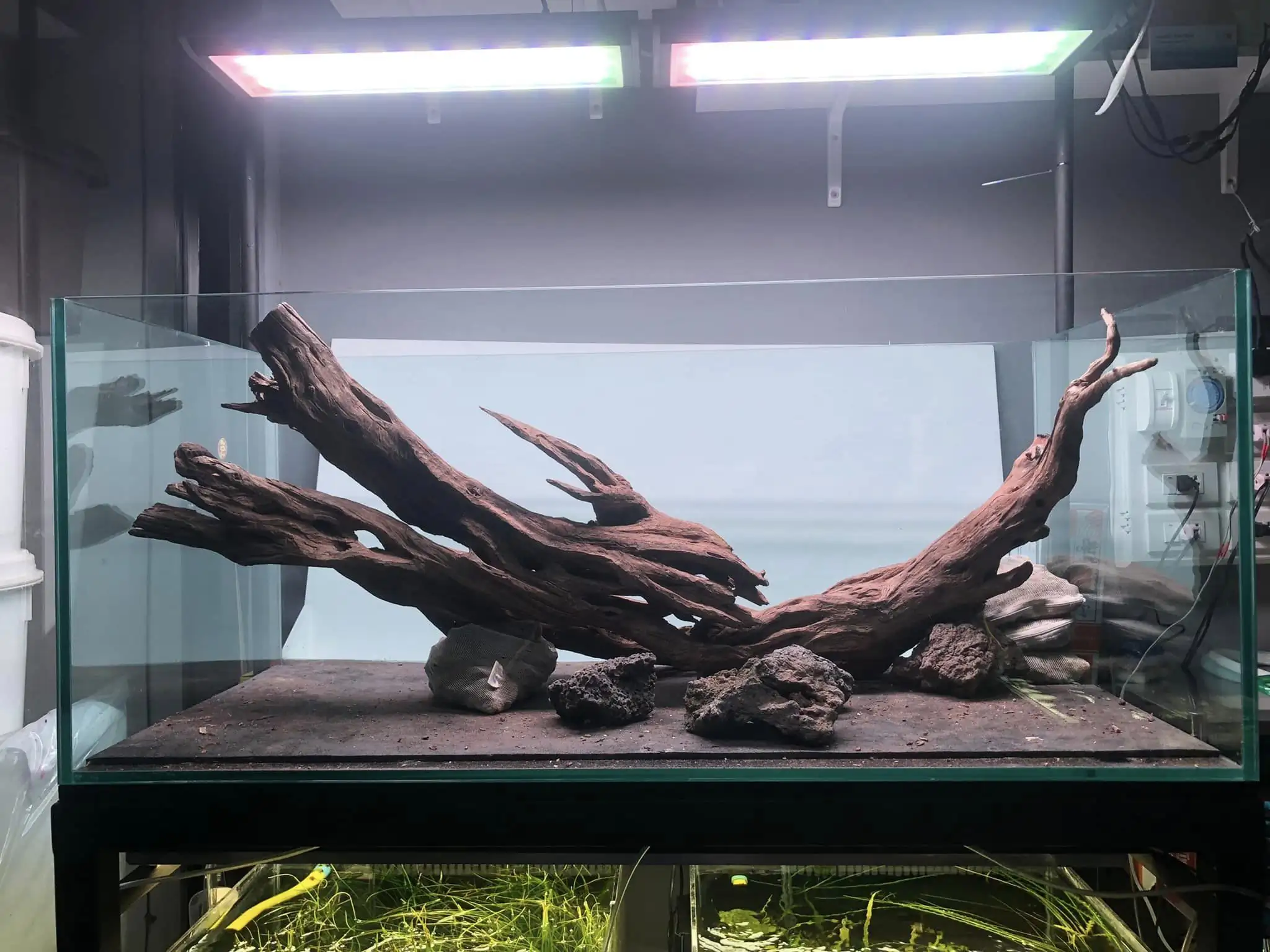 Steps progression IAPLC 2022 Rank 45 - Reverse - Eakthanat Isarathikul / Thailand