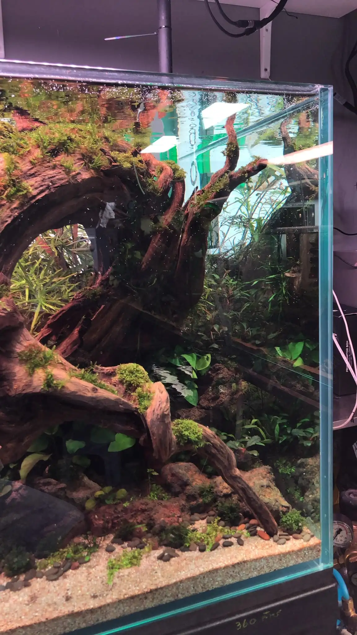 Steps progression IAPLC 2022 Rank 45 - Reverse - Eakthanat Isarathikul / Thailand