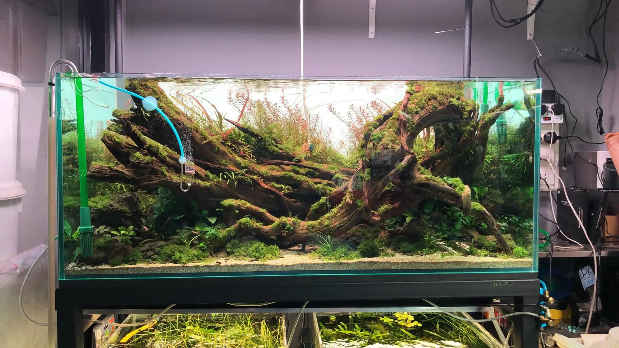 Steps progression IAPLC 2022 Rank 45 - Reverse - Eakthanat Isarathikul / Thailand