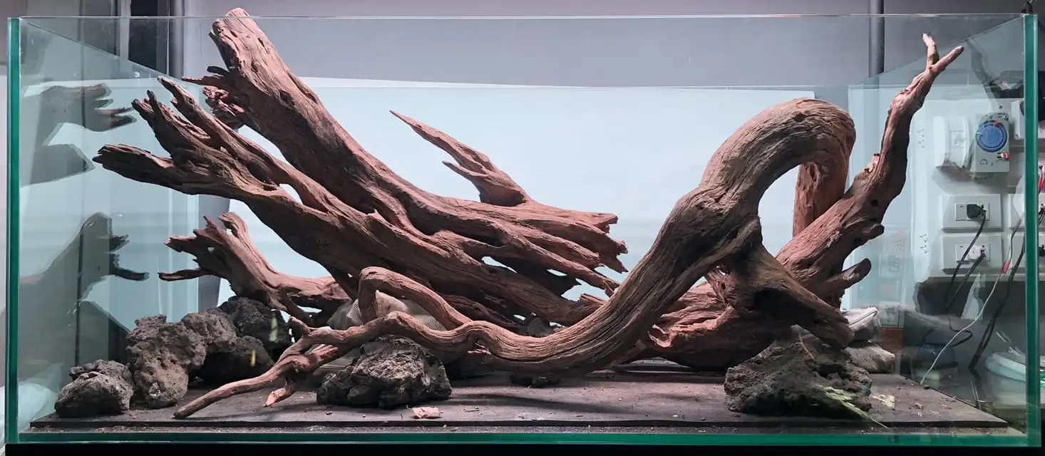 Steps progression IAPLC 2022 Rank 45 - Reverse - Eakthanat Isarathikul / Thailand