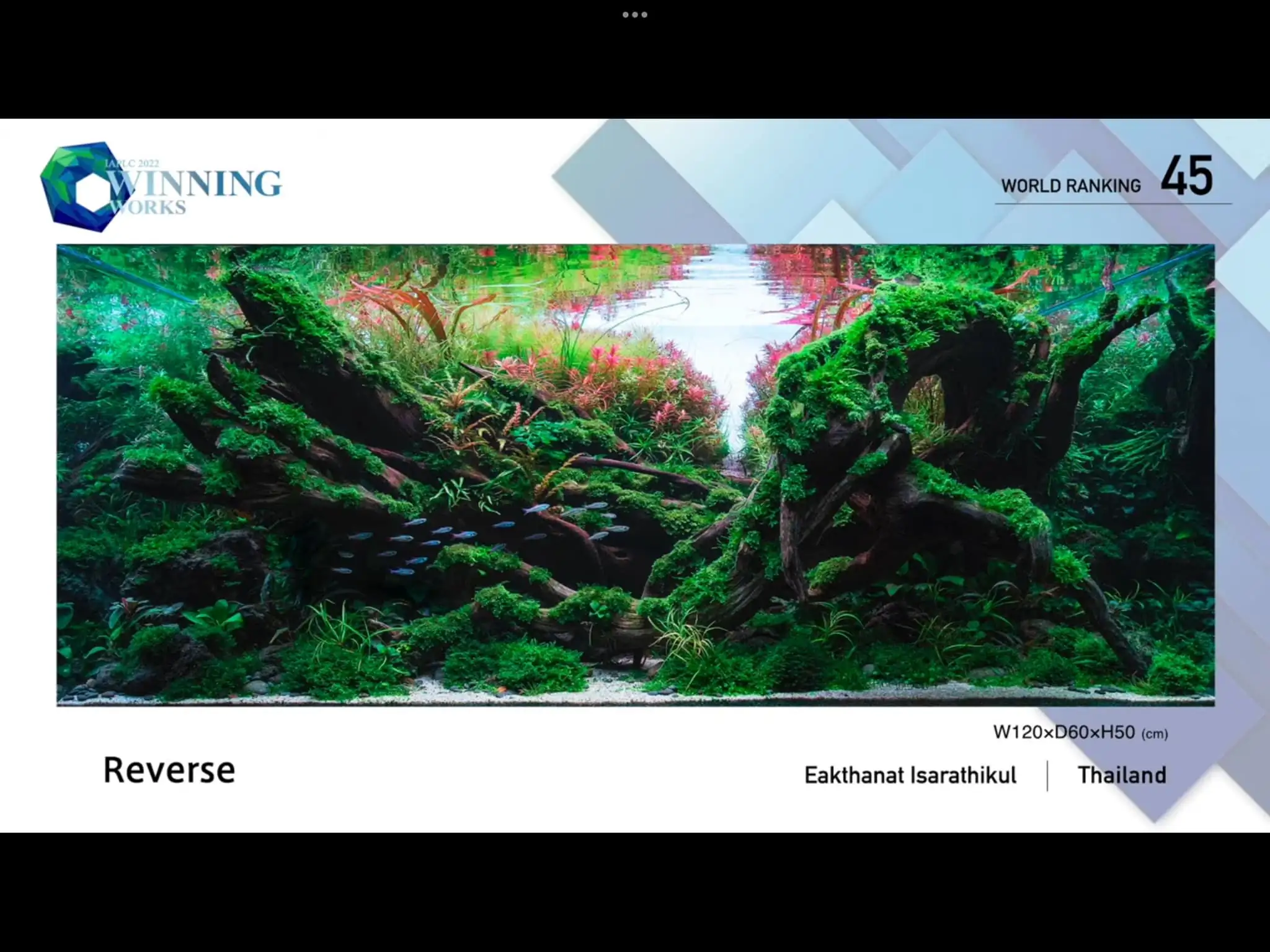 Steps progression IAPLC 2022 Rank 45 - Reverse - Eakthanat Isarathikul / Thailand