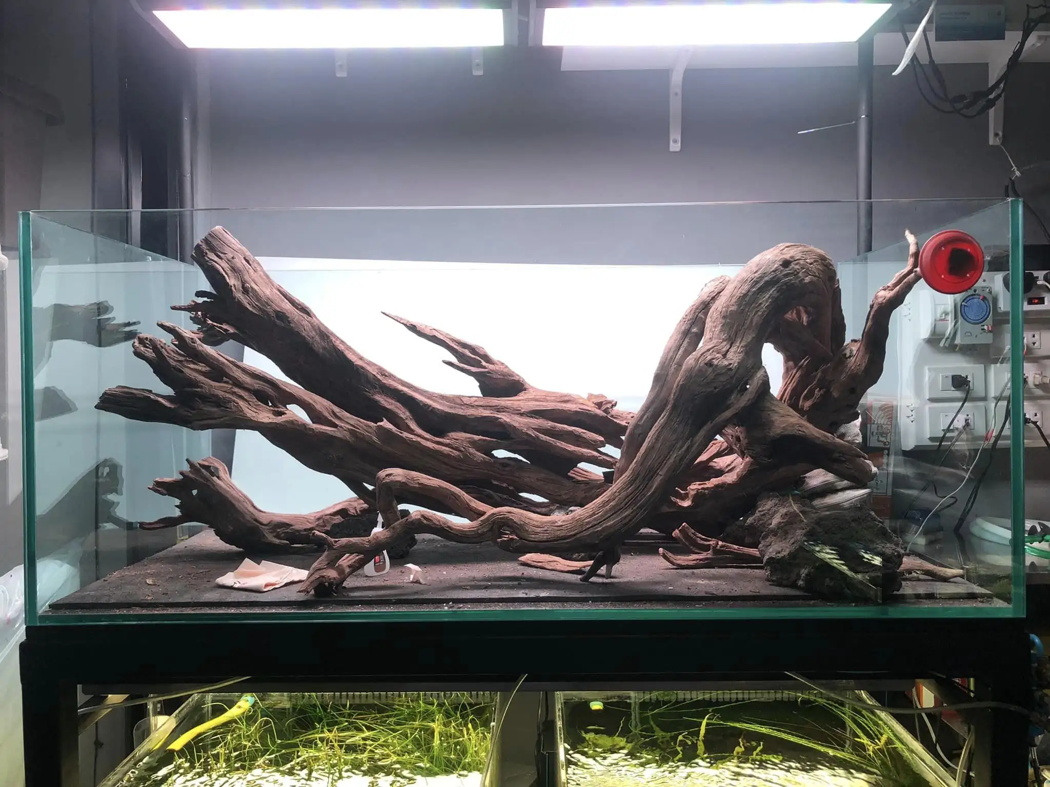 Steps progression IAPLC 2022 Rank 45 - Reverse - Eakthanat Isarathikul / Thailand