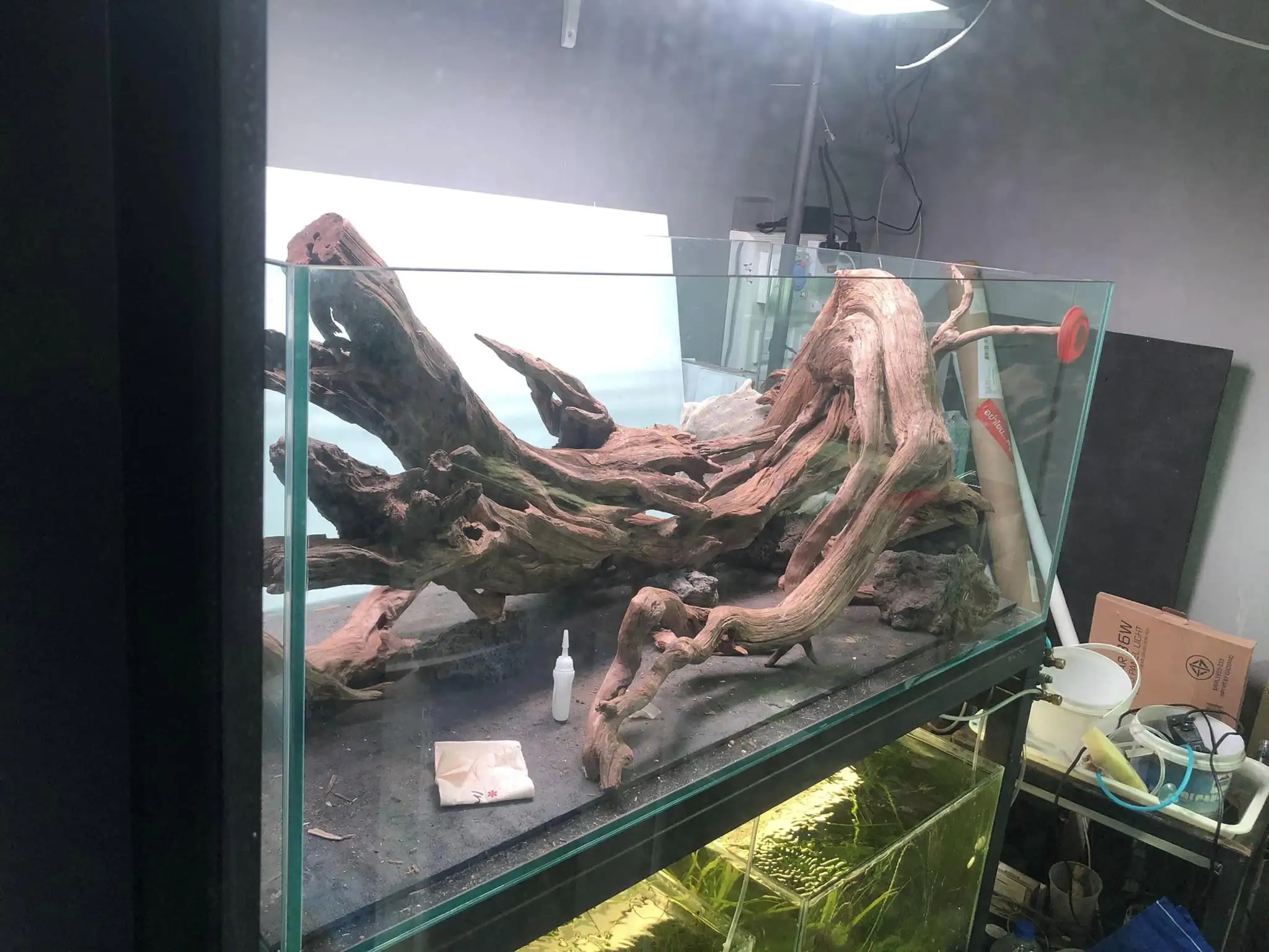 Steps progression IAPLC 2022 Rank 45 - Reverse - Eakthanat Isarathikul / Thailand