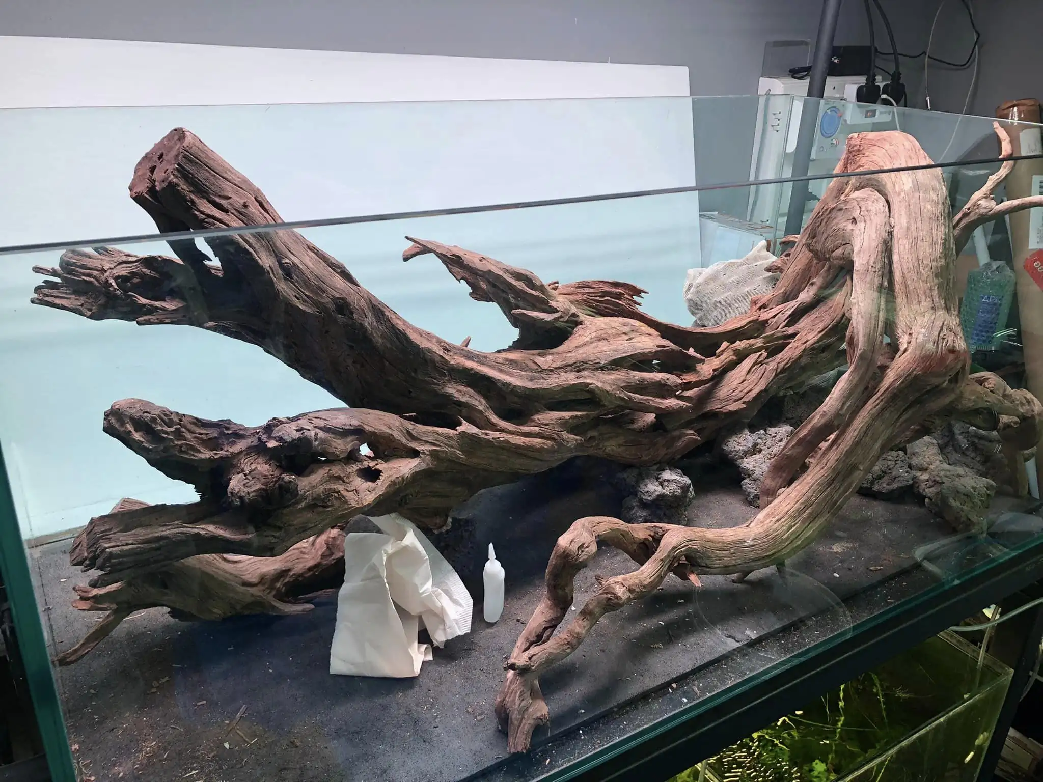 Steps progression IAPLC 2022 Rank 45 - Reverse - Eakthanat Isarathikul / Thailand