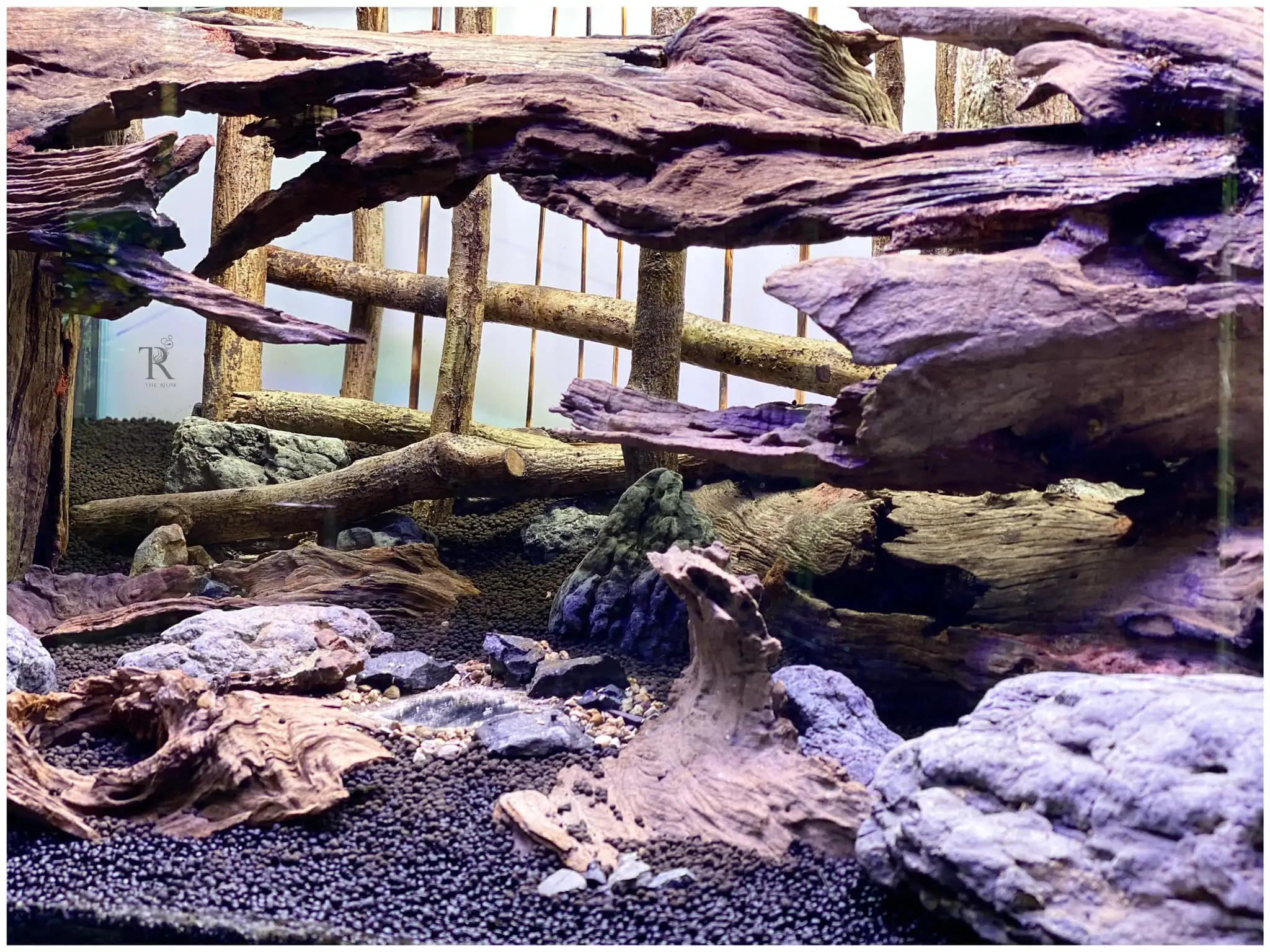 Steps progression IAPLC 2022 Rank 65 Astrayer - Son Tu Thai / VietNam