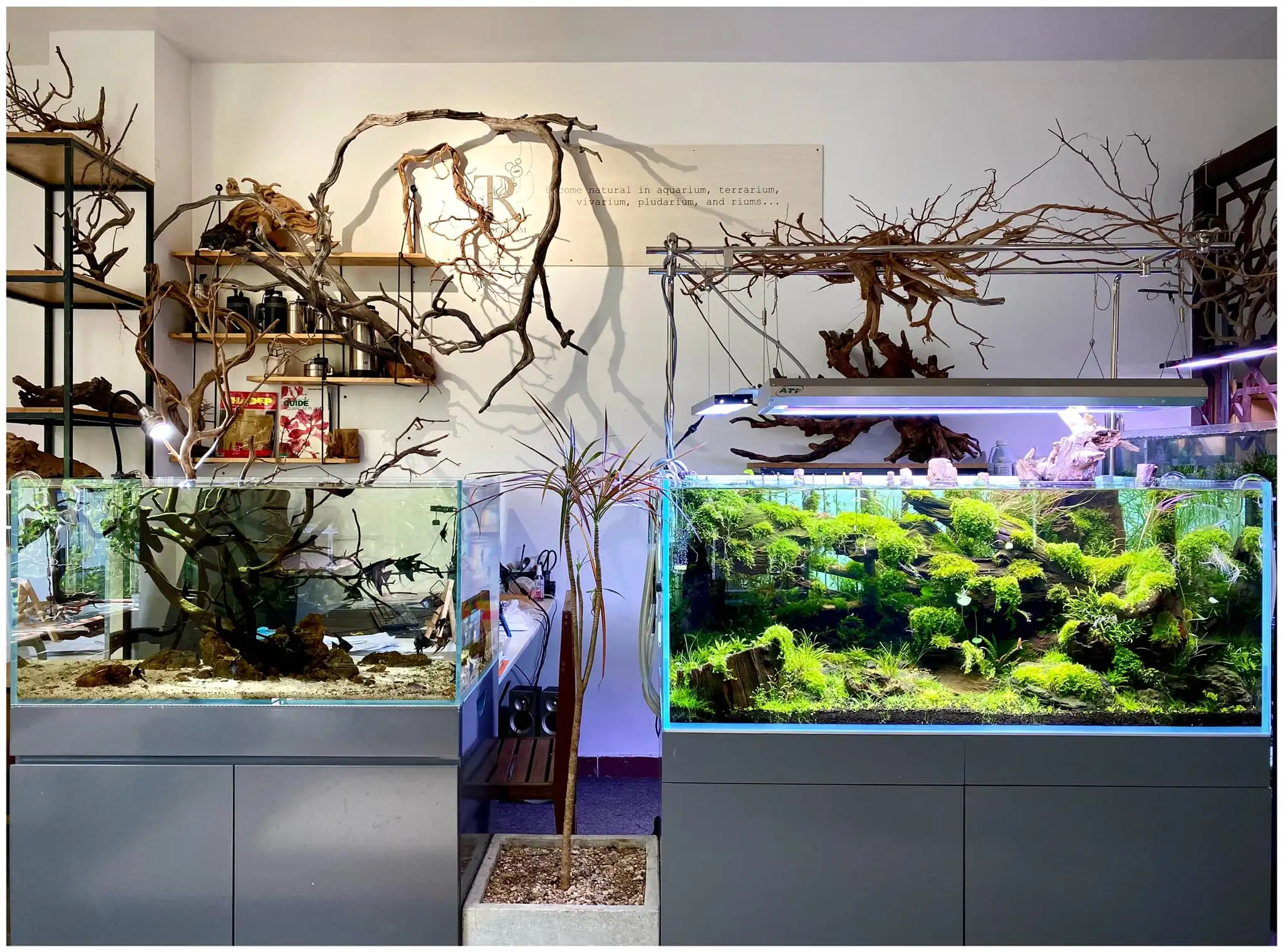 Steps progression IAPLC 2022 Rank 65 Astrayer - Son Tu Thai / VietNam