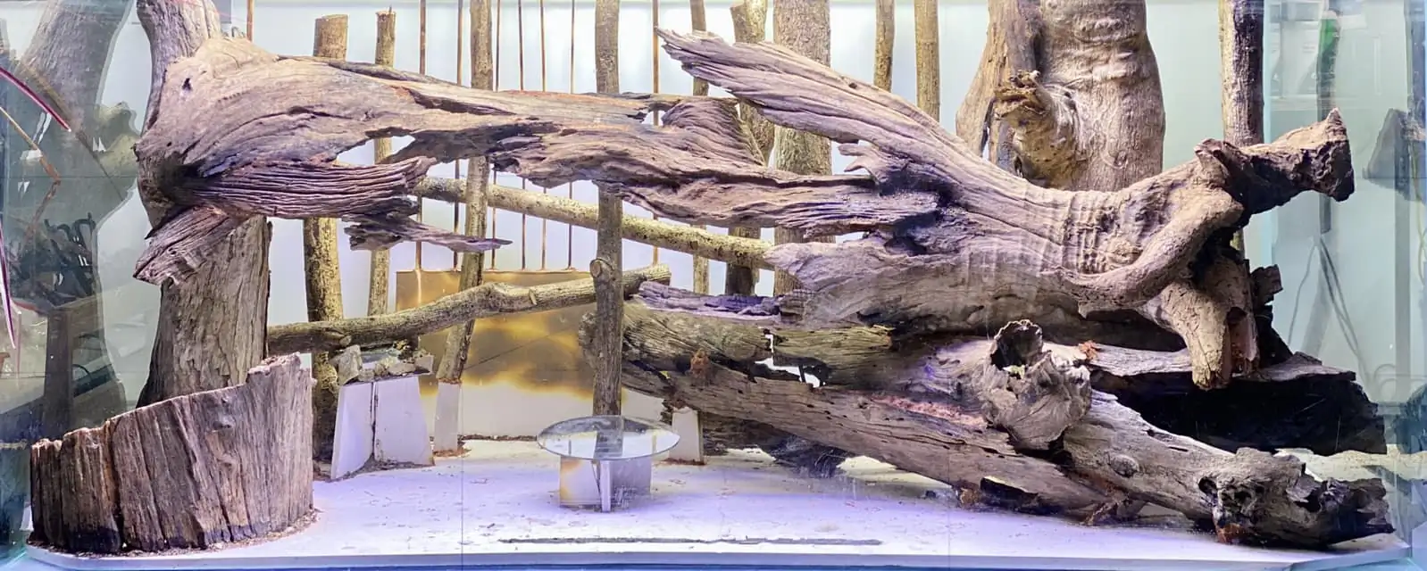 Steps progression IAPLC 2022 Rank 65 Astrayer - Son Tu Thai / VietNam