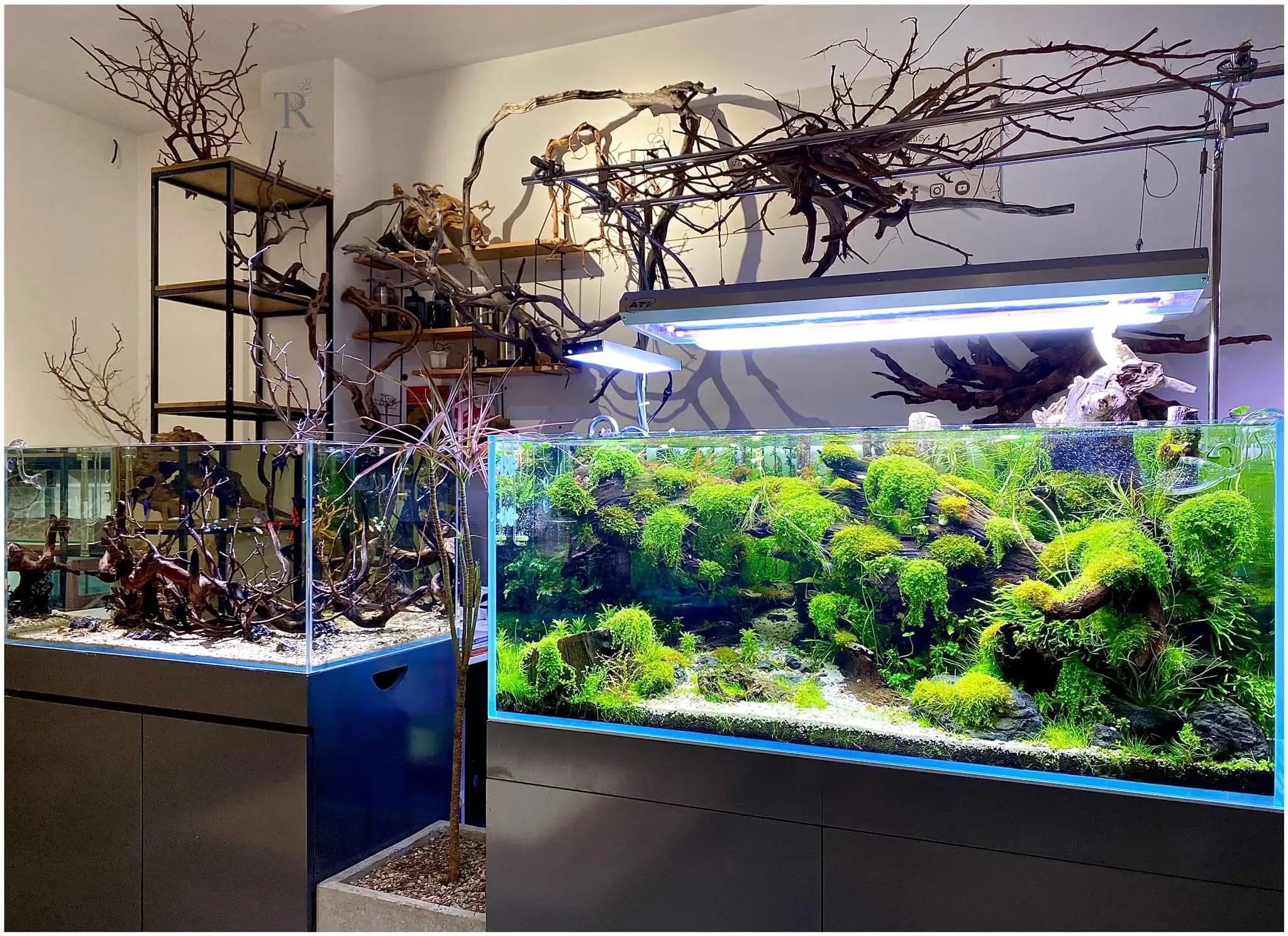 Steps progression IAPLC 2022 Rank 65 Astrayer - Son Tu Thai / VietNam