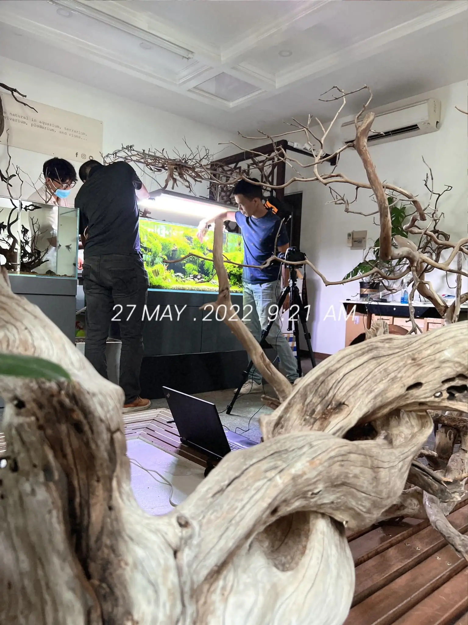 Steps progression IAPLC 2022 Rank 65 Astrayer - Son Tu Thai / VietNam