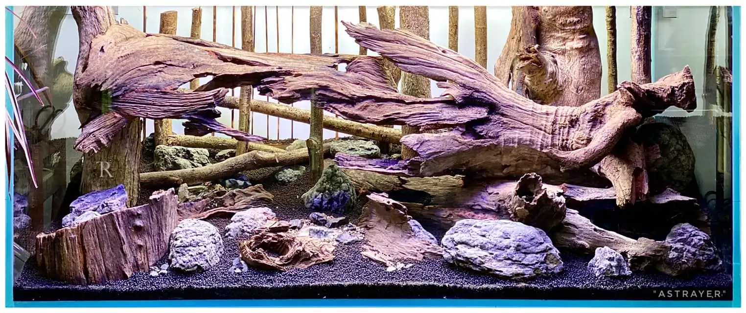 Steps progression IAPLC 2022 Rank 65 Astrayer - Son Tu Thai / VietNam