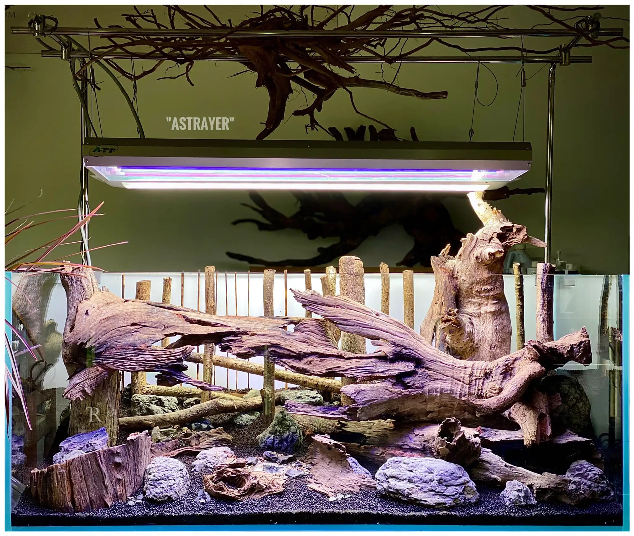 Steps progression IAPLC 2022 Rank 65 Astrayer - Son Tu Thai / VietNam