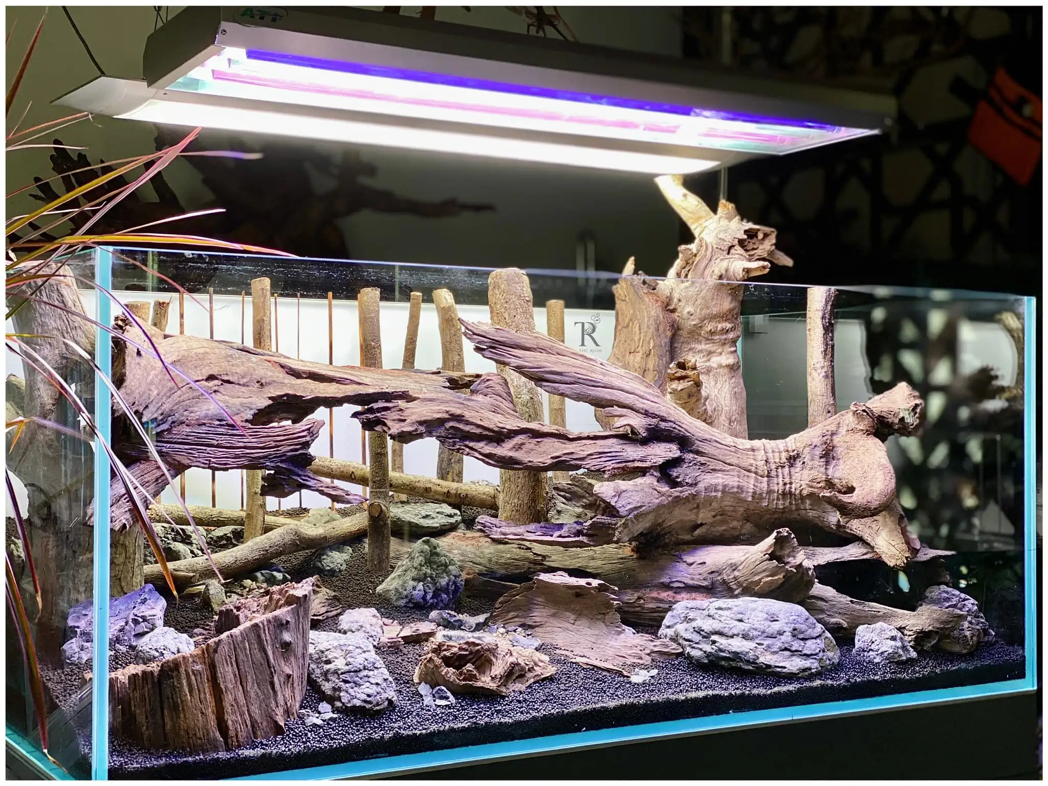 Steps progression IAPLC 2022 Rank 65 Astrayer - Son Tu Thai / VietNam