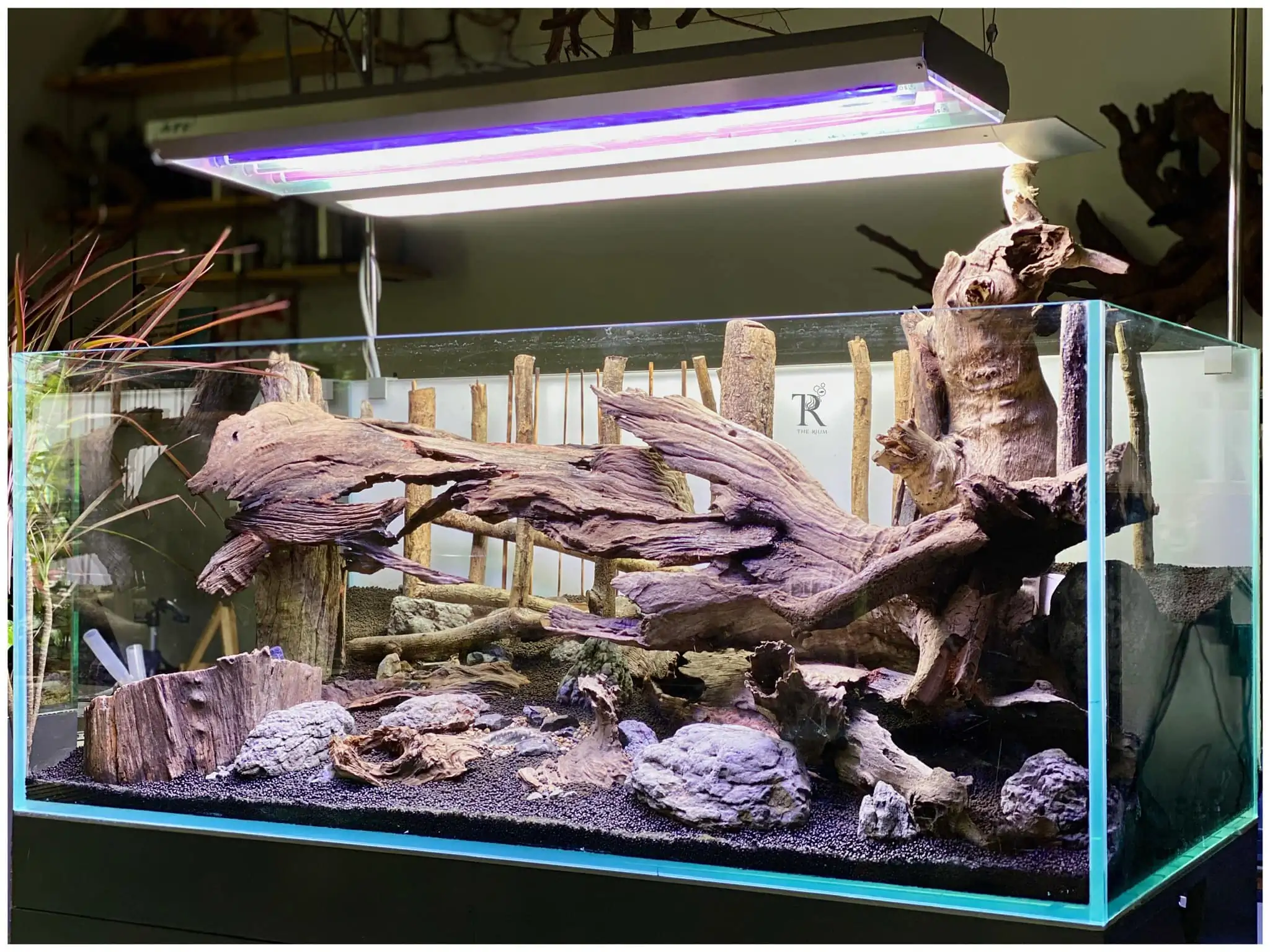 Steps progression IAPLC 2022 Rank 65 Astrayer - Son Tu Thai / VietNam