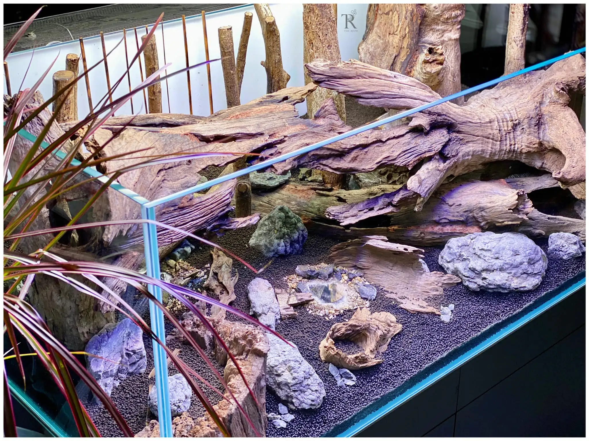 Steps progression IAPLC 2022 Rank 65 Astrayer - Son Tu Thai / VietNam