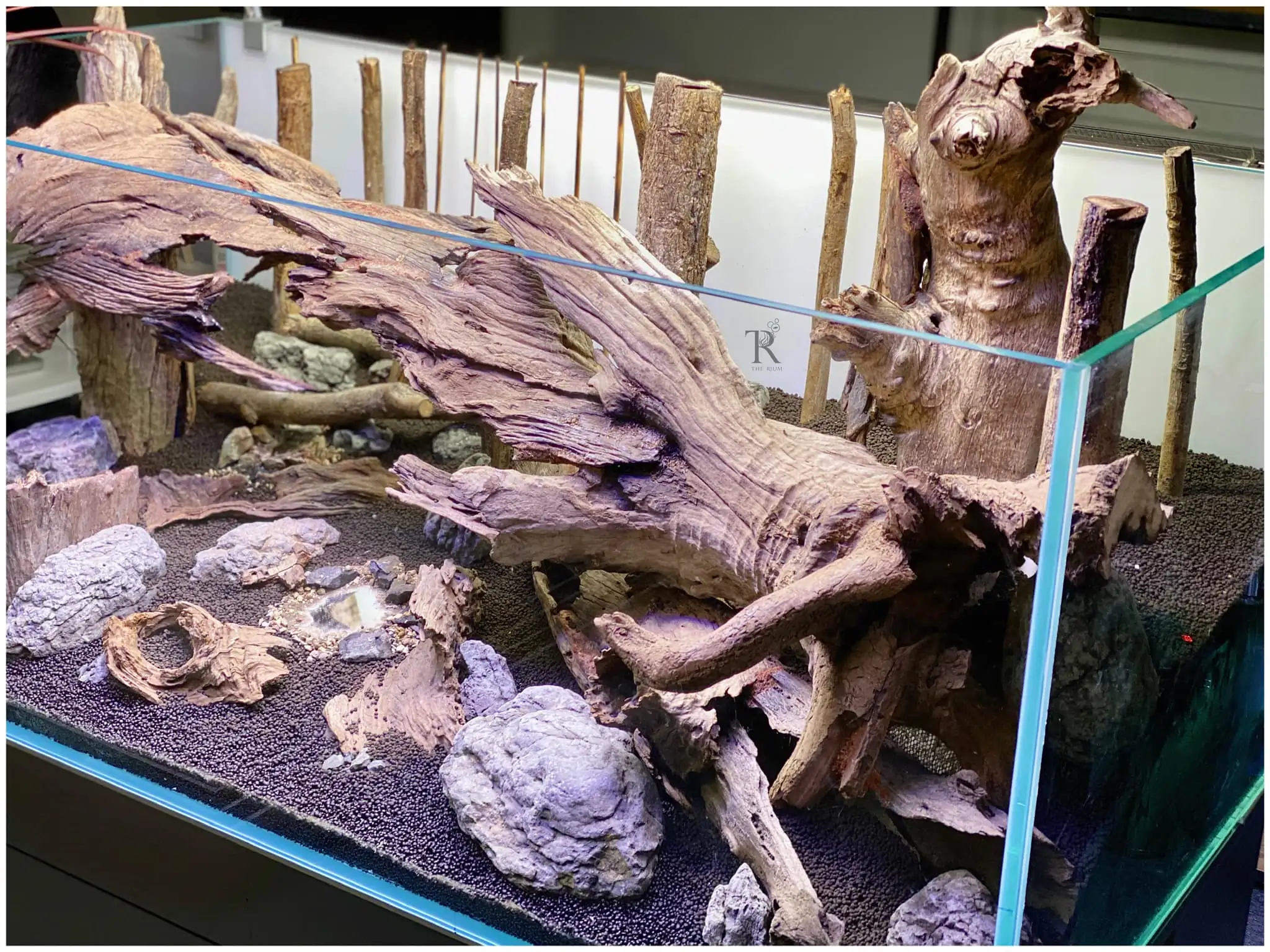 Steps progression IAPLC 2022 Rank 65 Astrayer - Son Tu Thai / VietNam