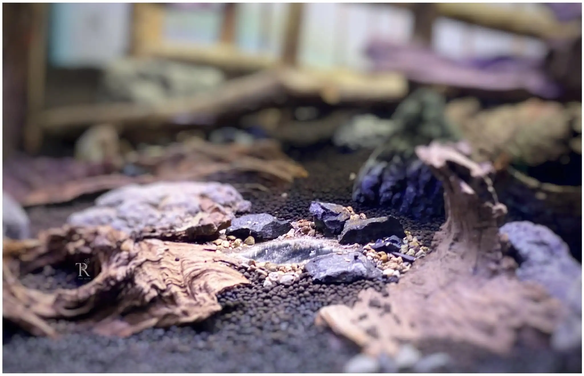 Steps progression IAPLC 2022 Rank 65 Astrayer - Son Tu Thai / VietNam