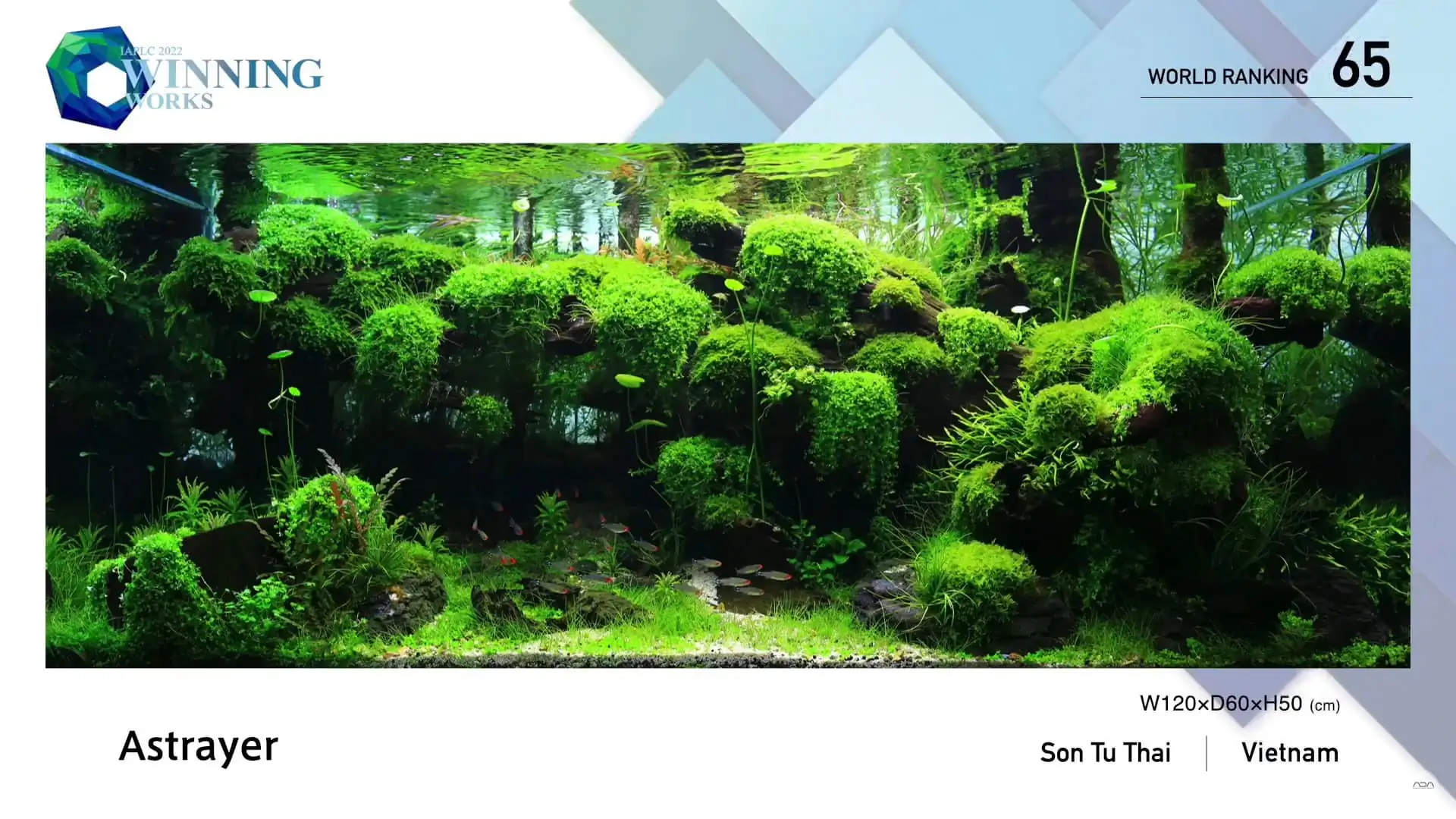 Steps progression IAPLC 2022 Rank 65 Astrayer - Son Tu Thai / VietNam