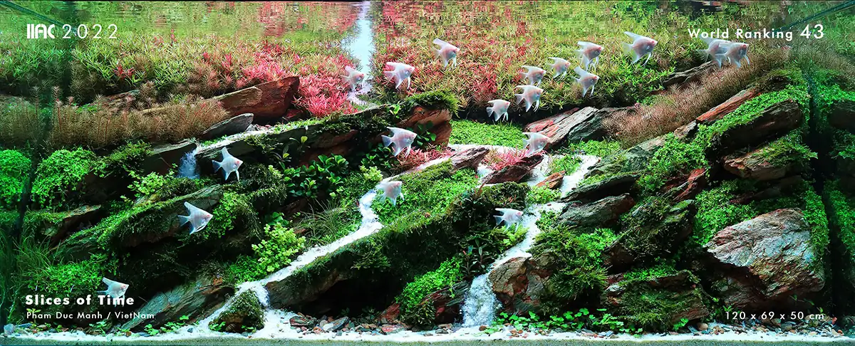 Steps progression IIAC 2022 - RANK 43 - Slices Of Time - Pham Duc Manh/Vietnam Steps progression IIAC 2022 - RANK 43 - Slices Of Time - Pham Duc Manh/Vietnam