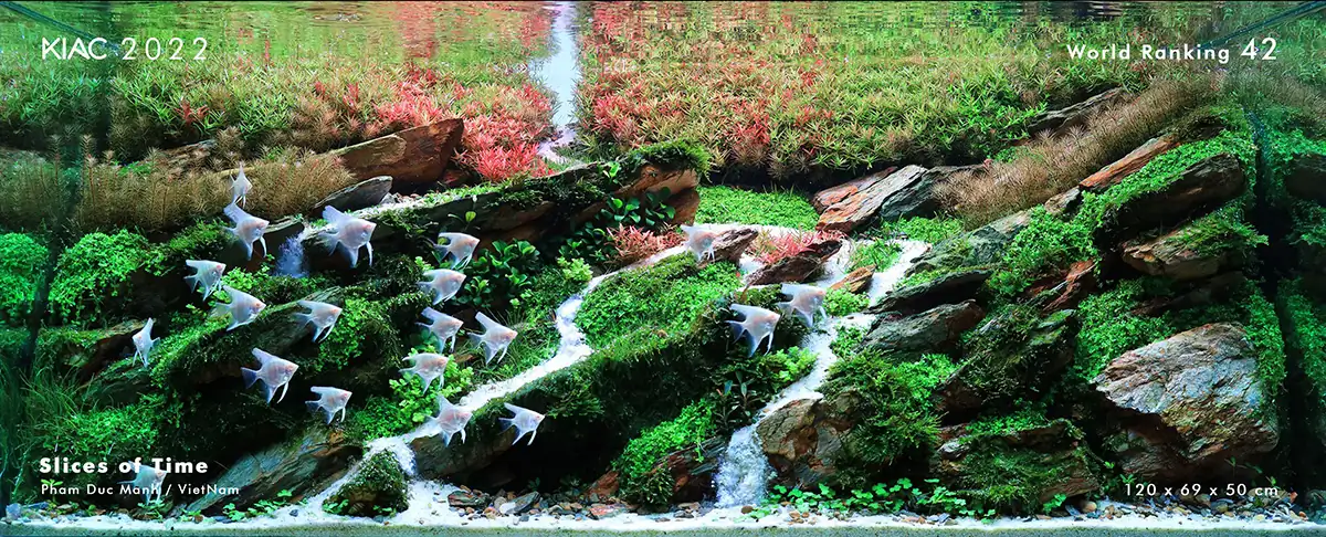 Steps progression KIAC 2022 - RANK 42 - Slices Of Time - Pham Duc Manh/Vietnam Steps progression KIAC 2022 - RANK 42 - Slices Of Time - Pham Duc Manh/Vietnam